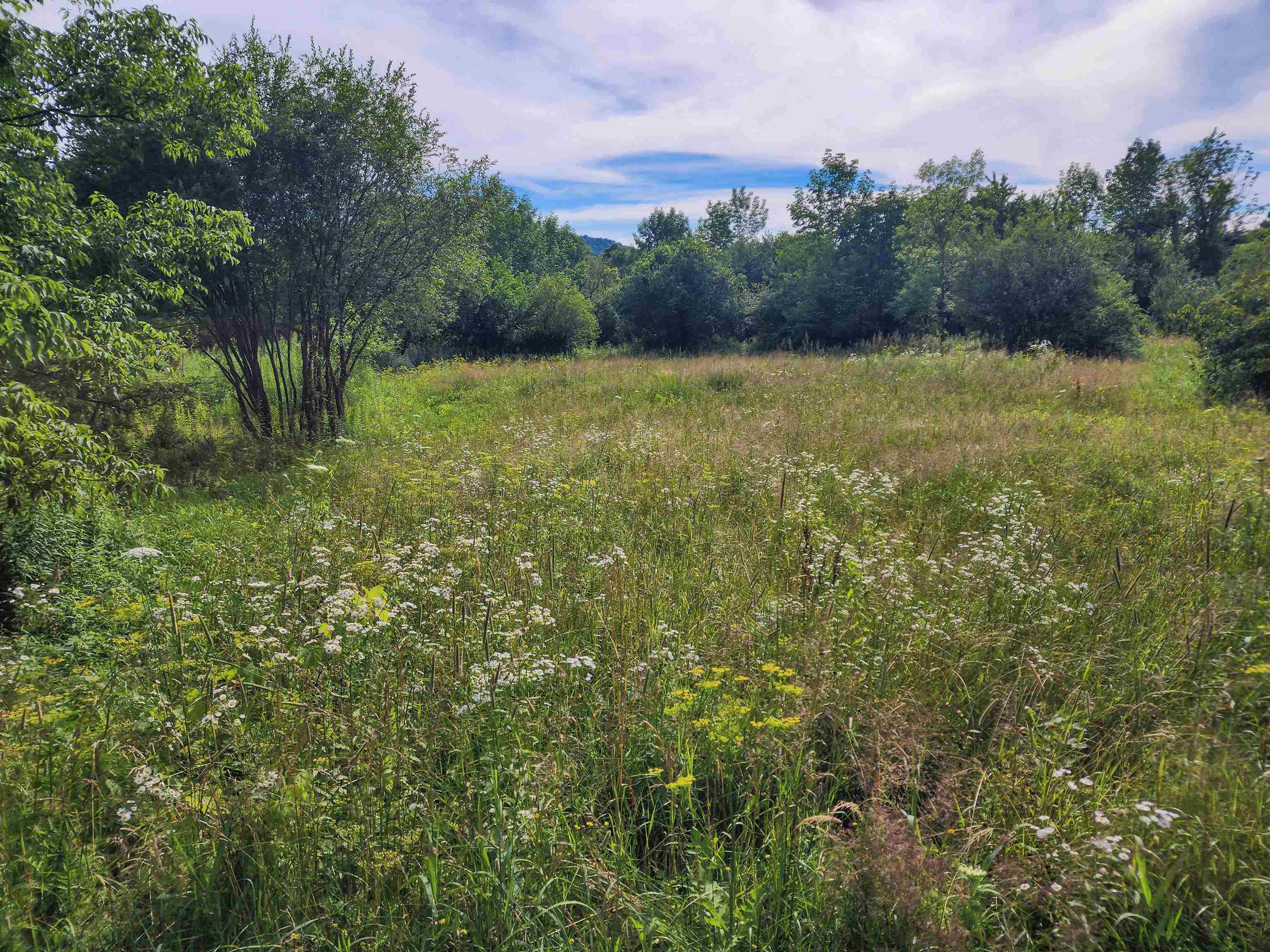 0 Applesauce Hill Road Property Photo 29