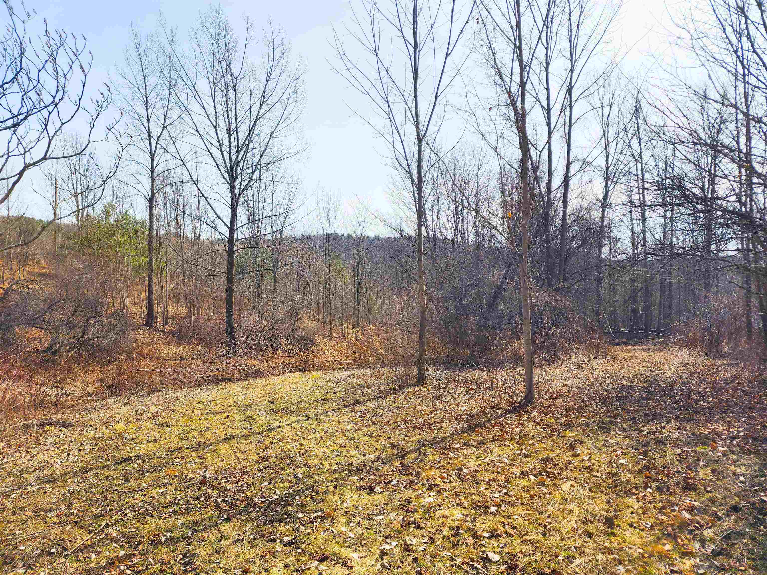 0 Applesauce Hill Road Property Photo 39