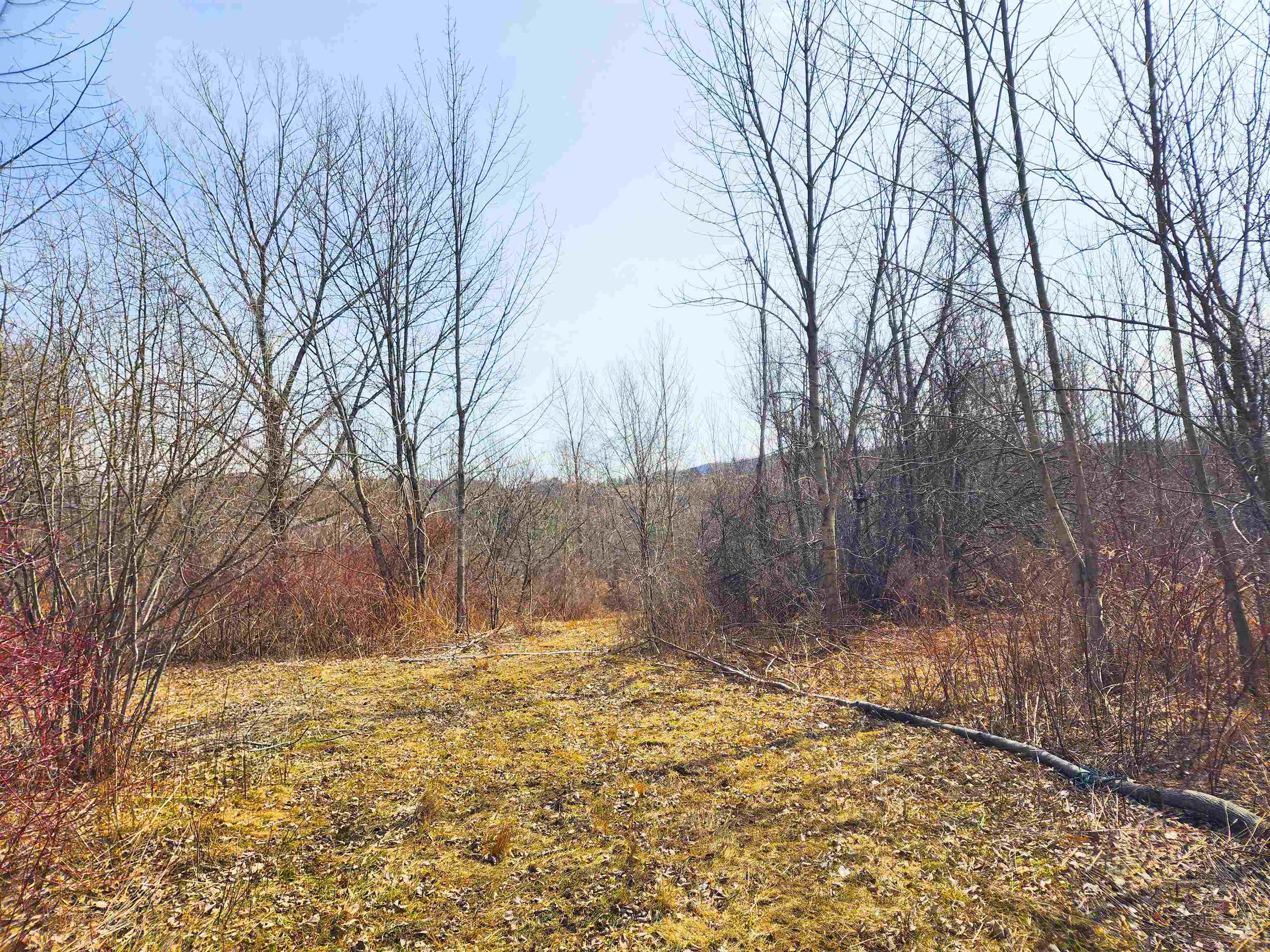 0 Applesauce Hill Road Property Photo 40