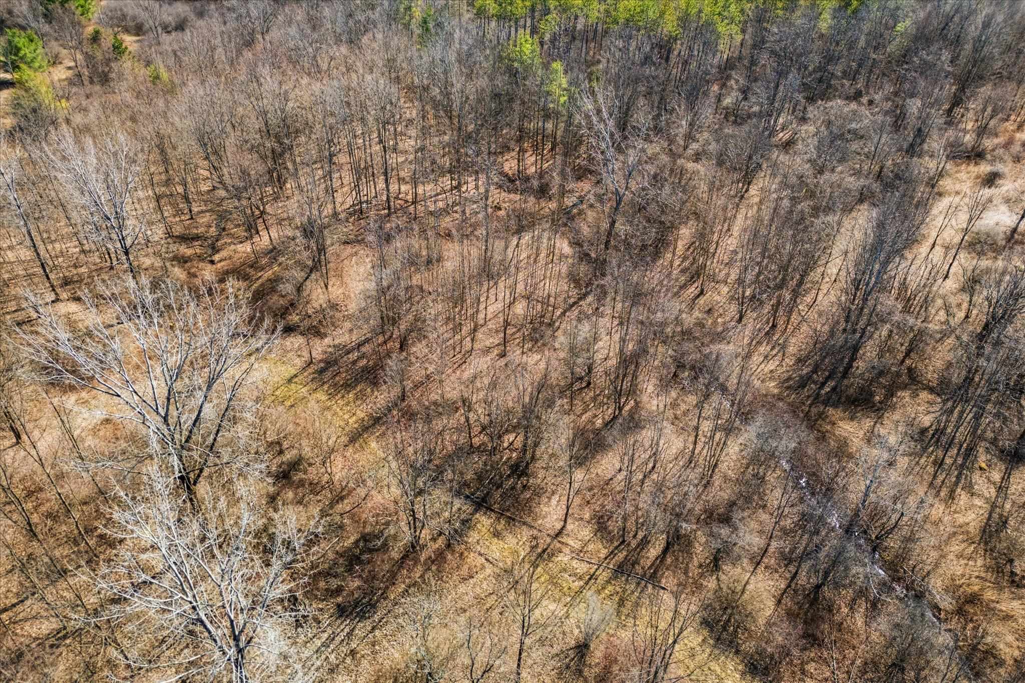 0 Applesauce Hill Road Property Photo 49