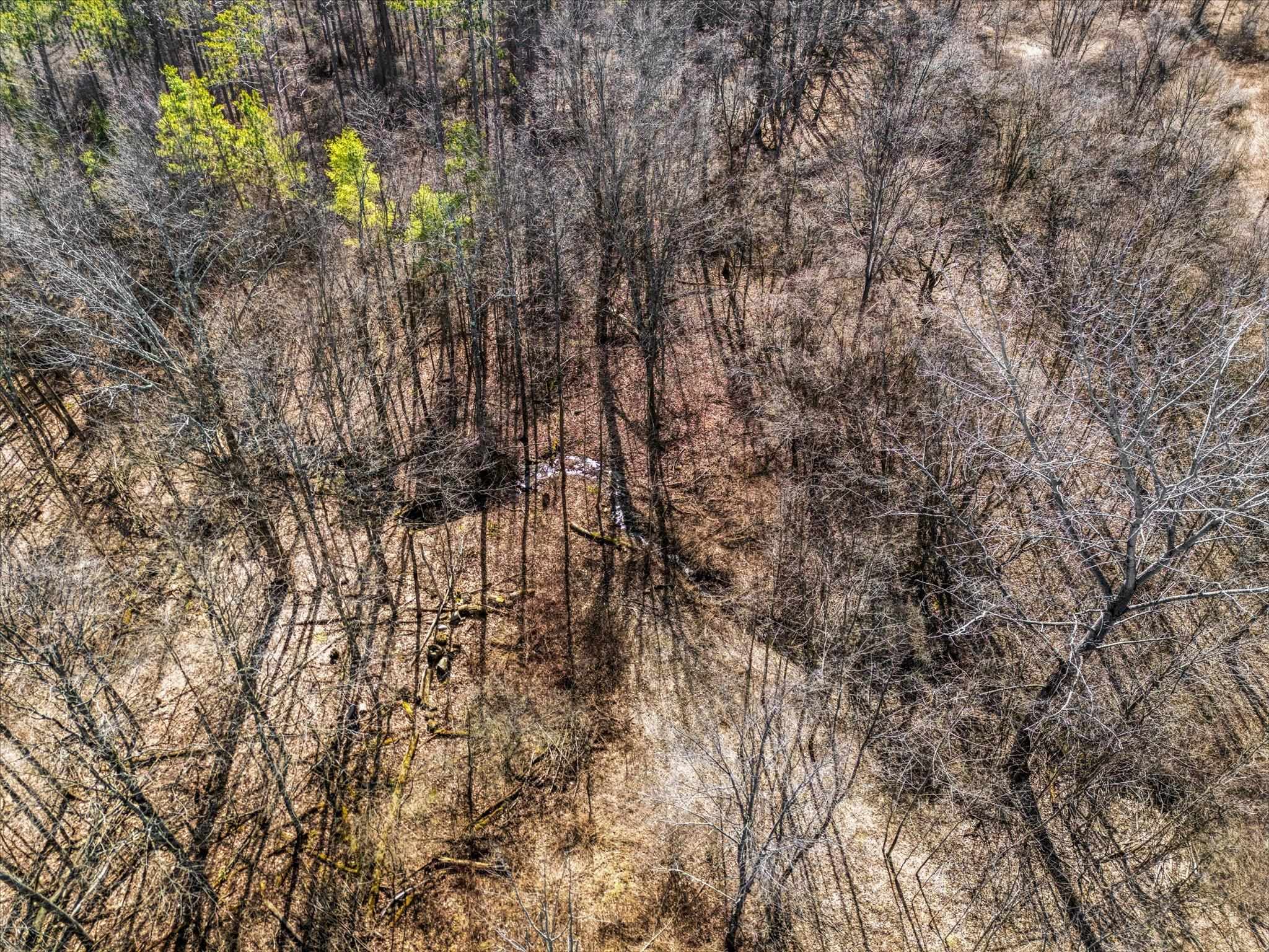 0 Applesauce Hill Road Property Photo 50