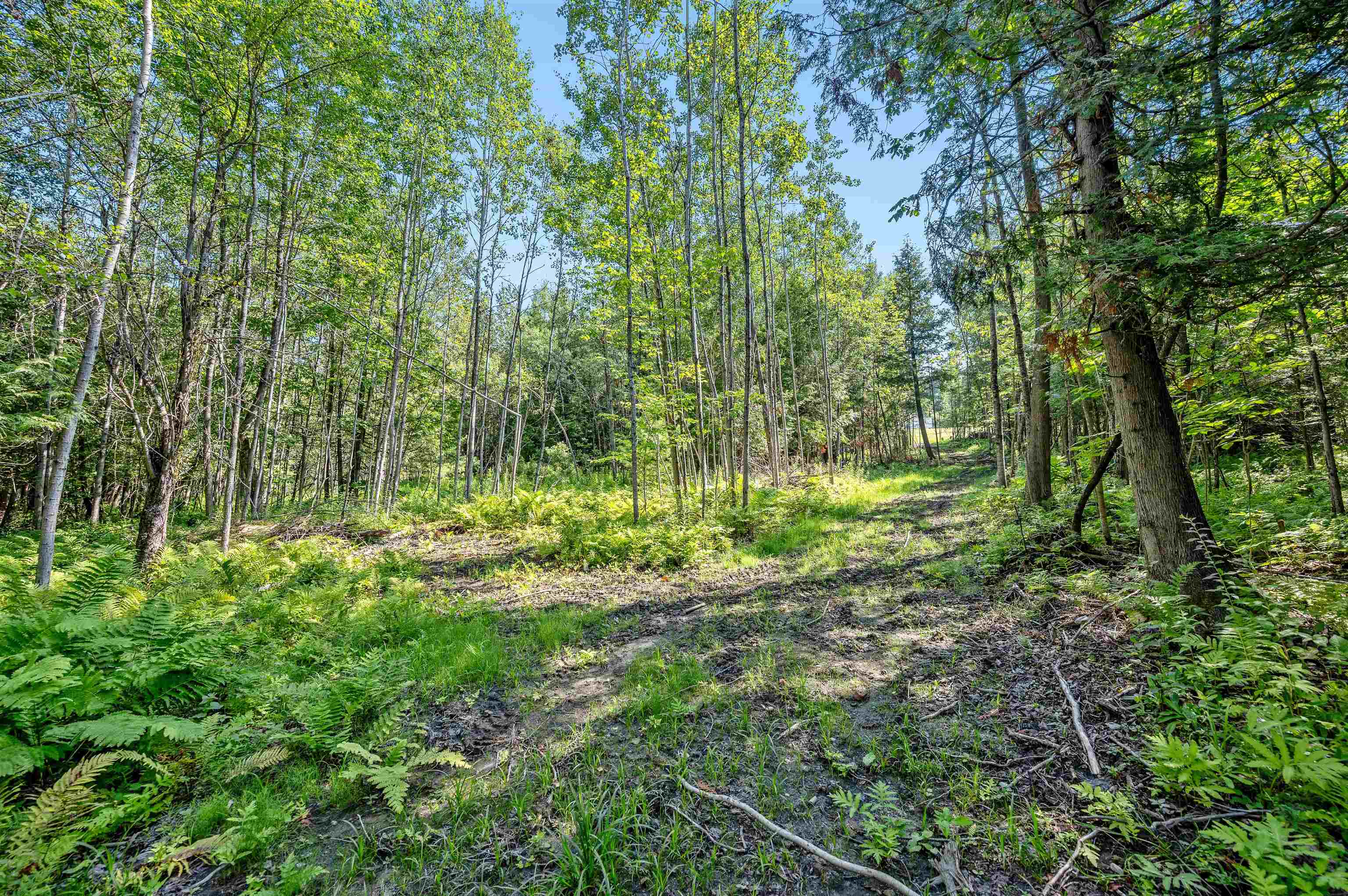 0 Middle Road Property Photo 6