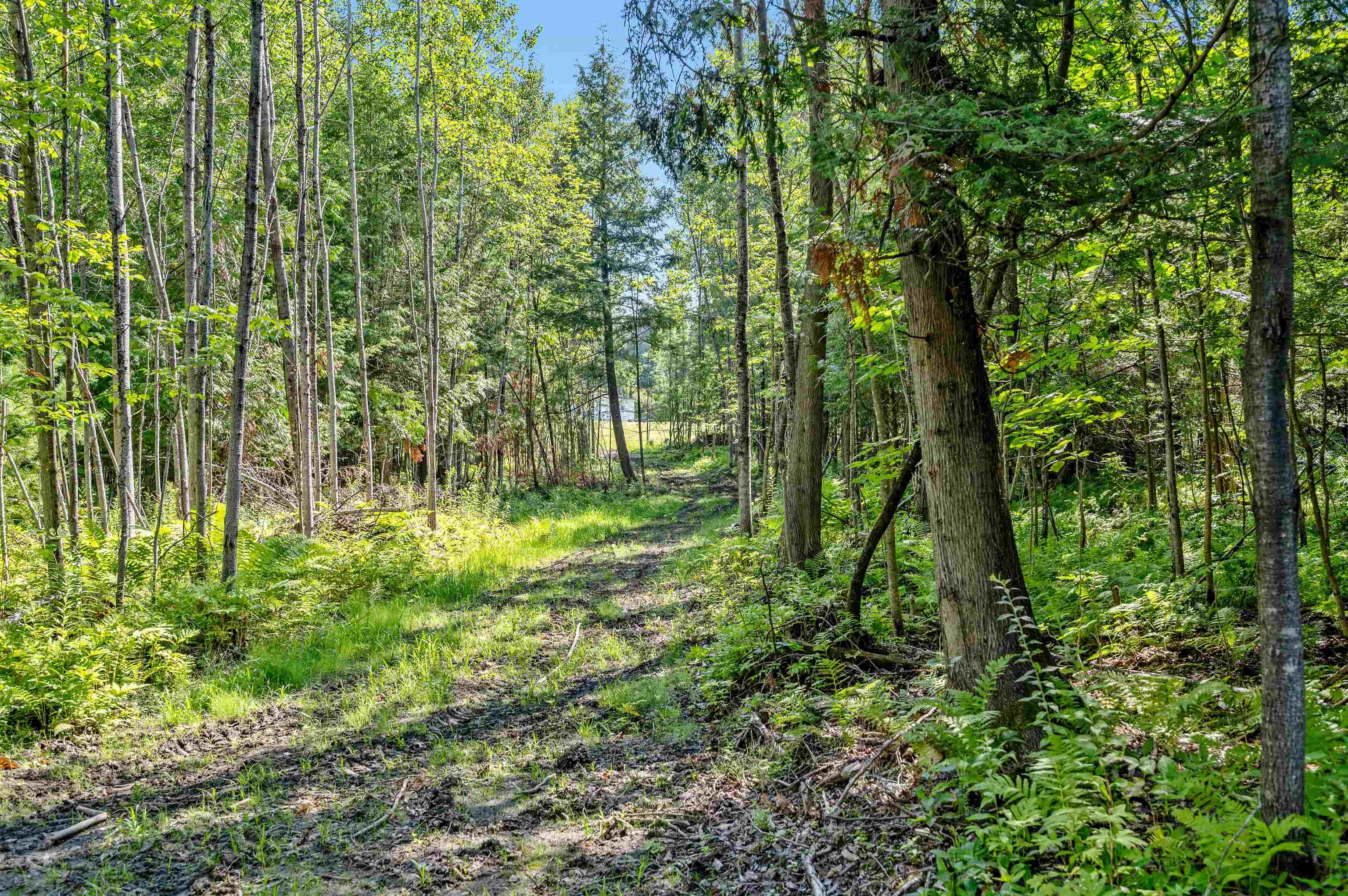 00 Middle Road Property Photo 17
