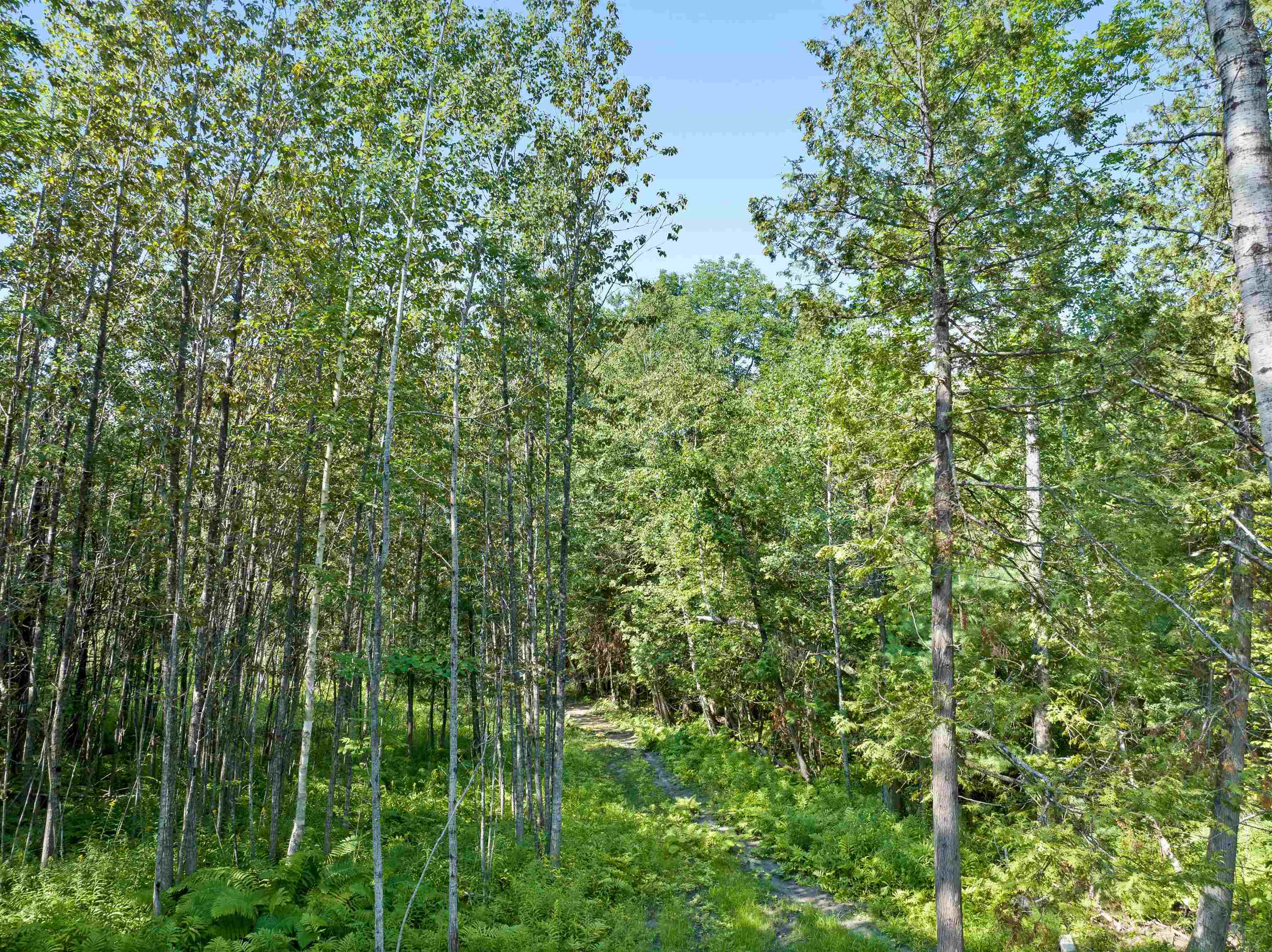 00 Middle Road Property Photo 23