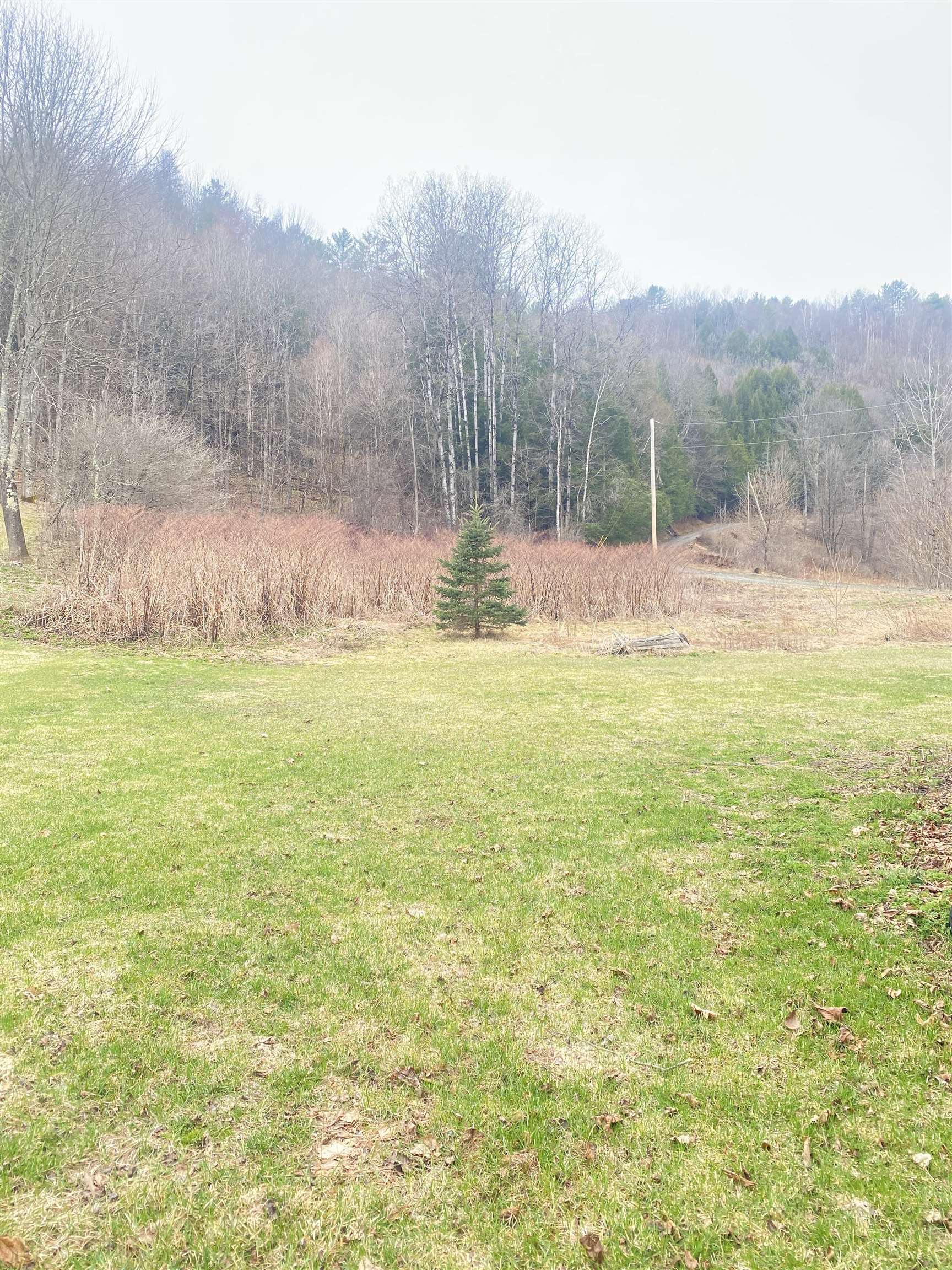 136 Store Hill Road Property Photo 4