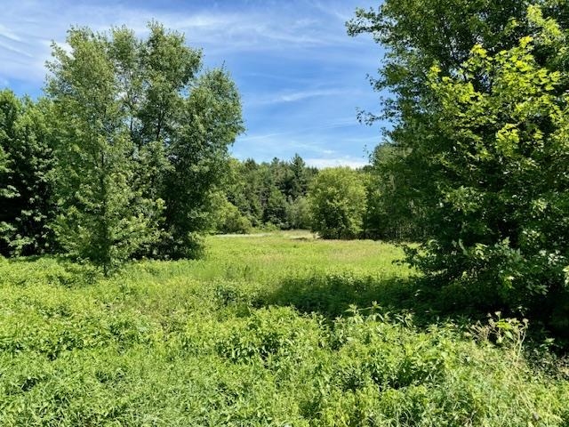 843 River Road Property Photo 2