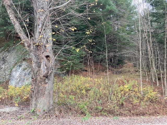 843 River Road Property Photo 11