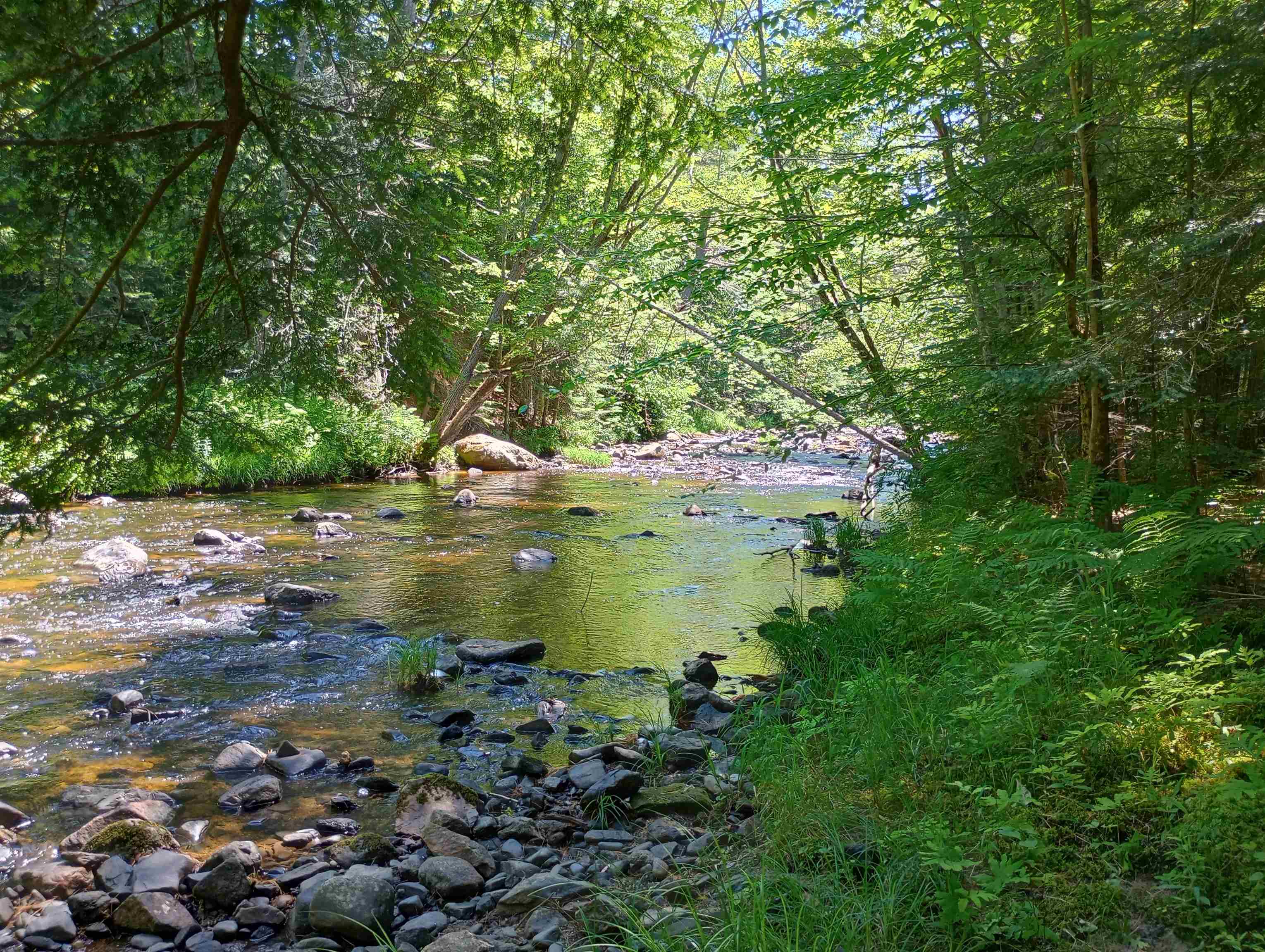 1011 Us Route 4 Property Photo 45