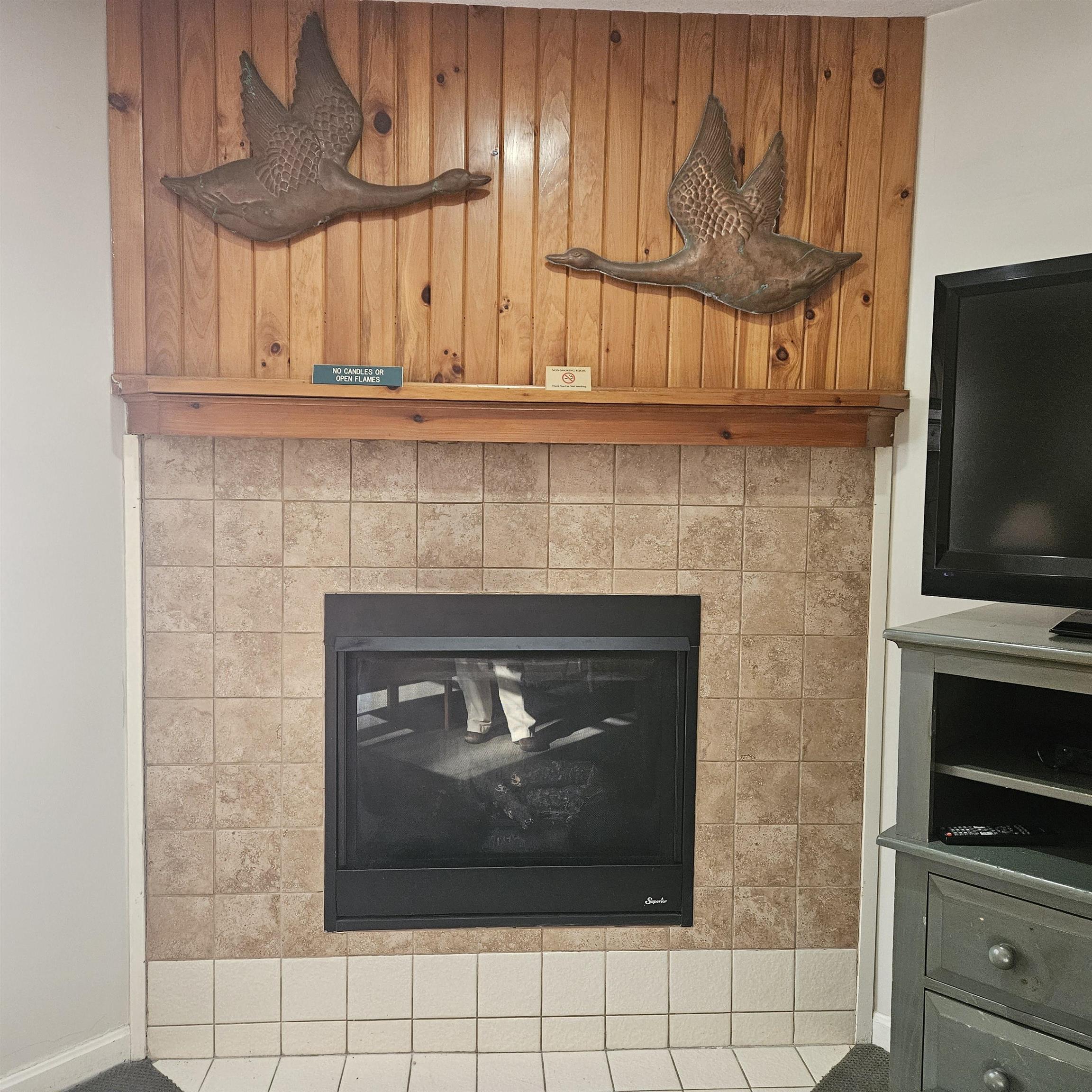 164 Deer Park Drive Property Photo 5