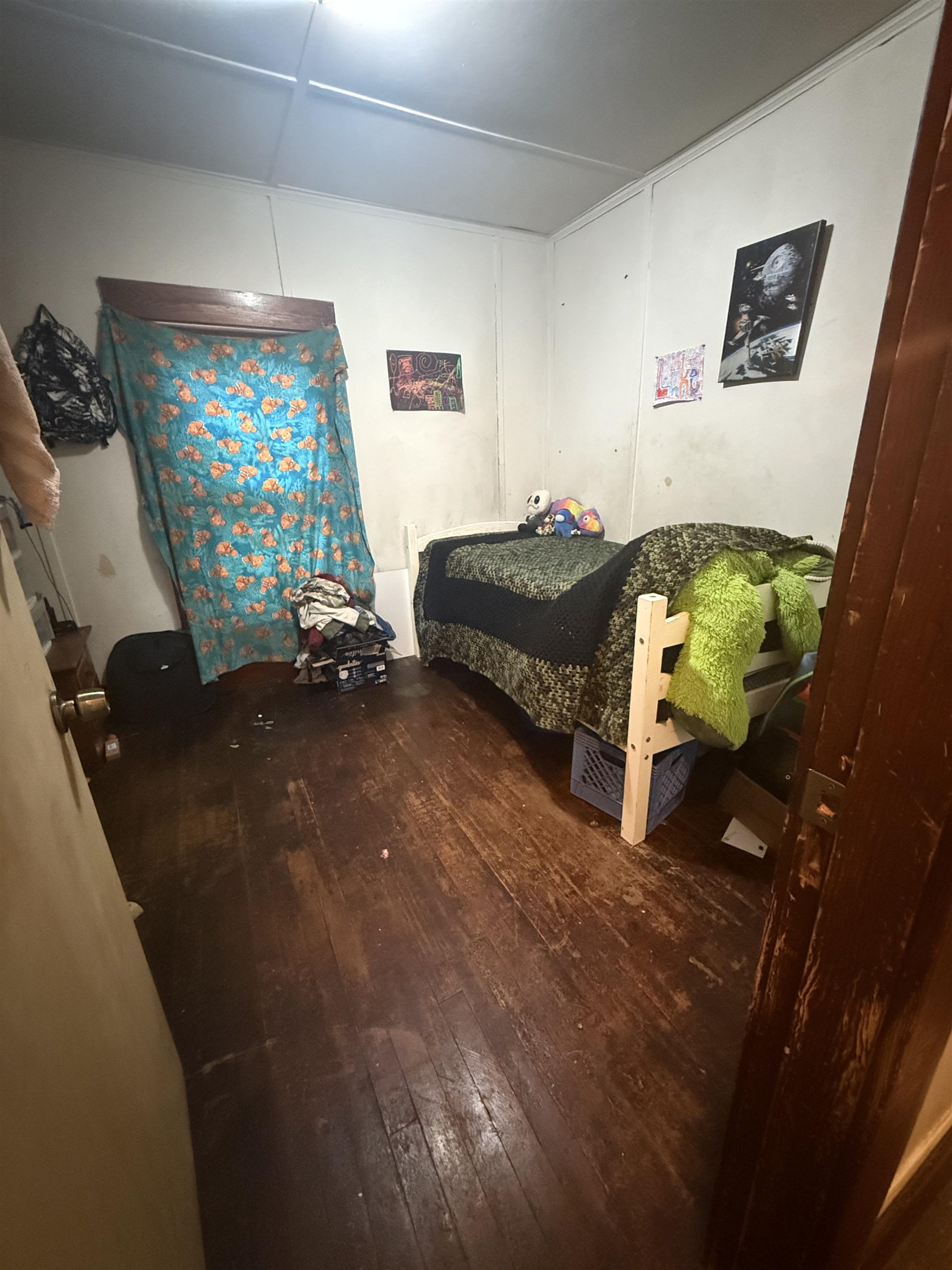 74 Harrington Avenue Property Photo 19