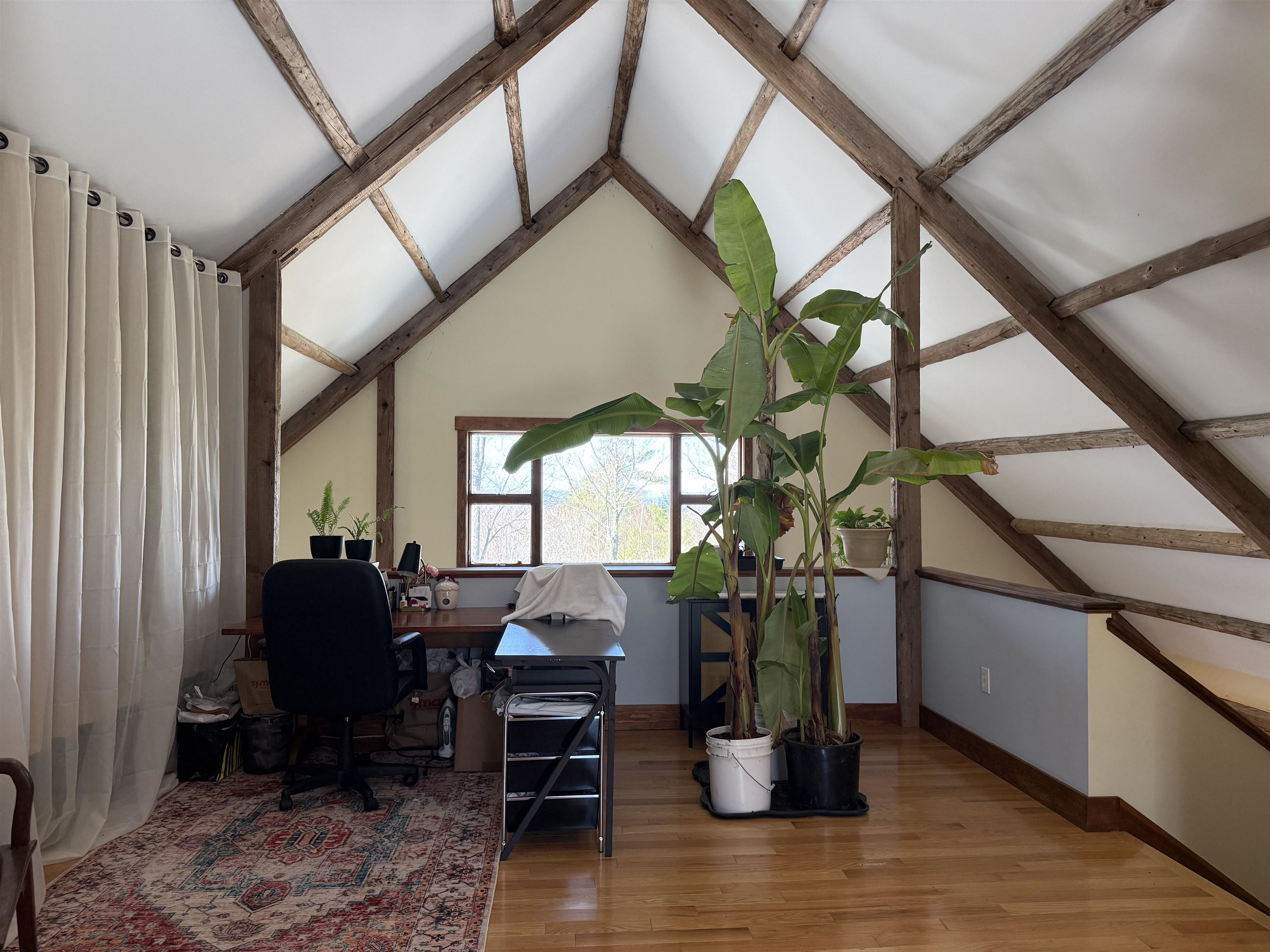 77 Williams Road Property Photo 36
