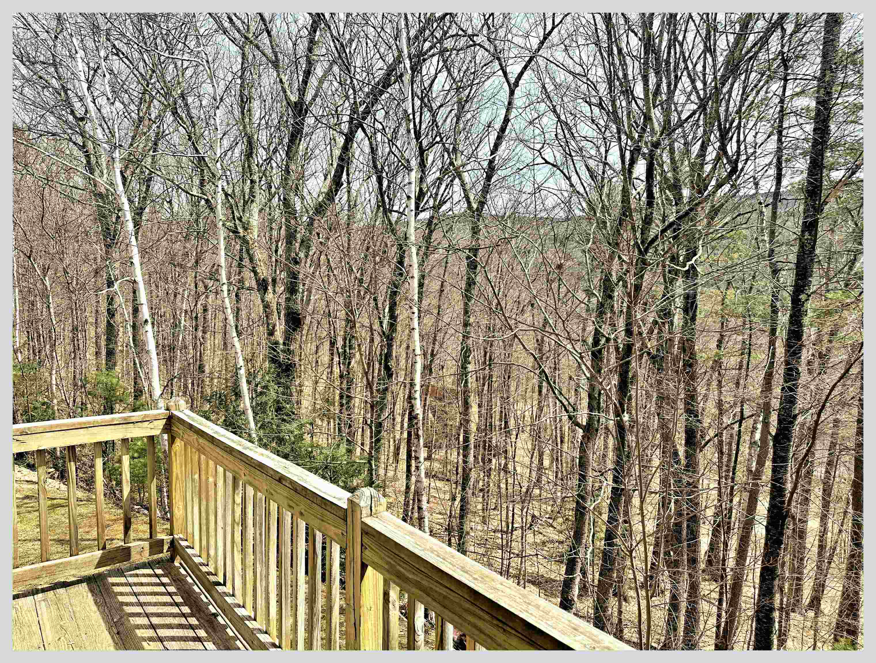 81 Richardson Trail Property Photo 35
