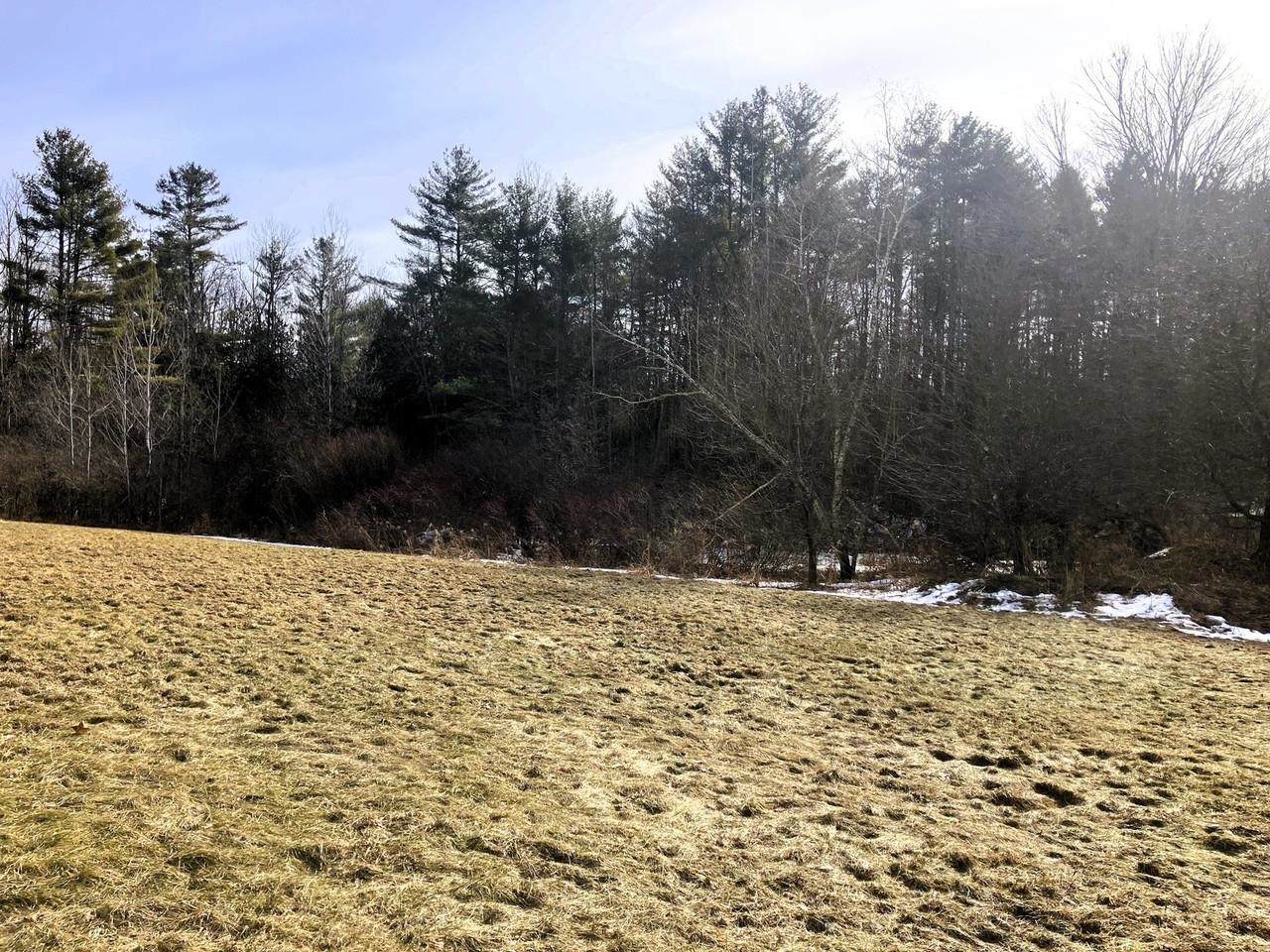 153 Shackett Road Property Photo 13