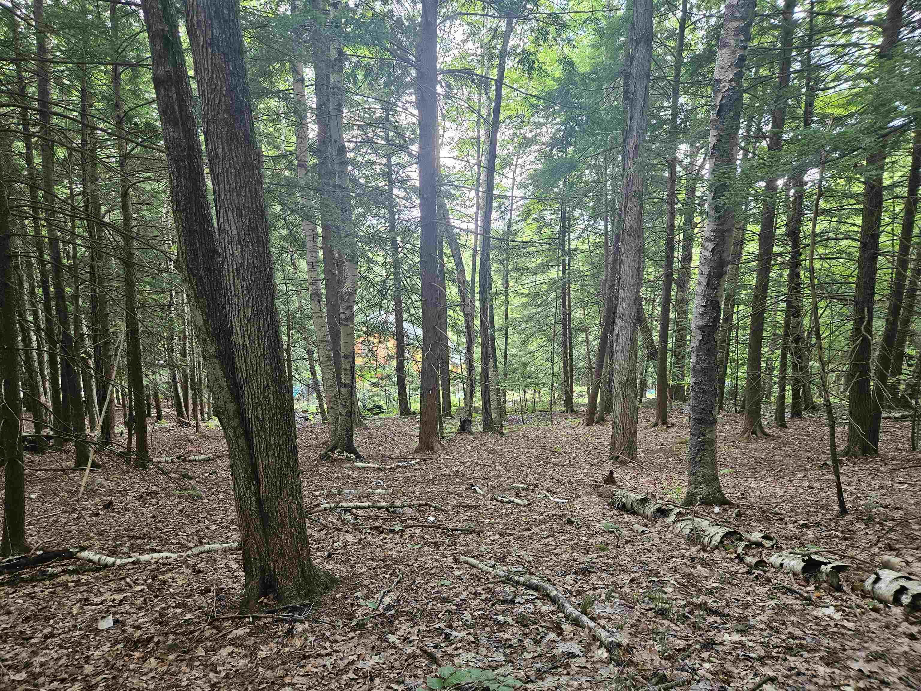 Map 132 Lot 115 Arrowhead Lane Property Photo 1