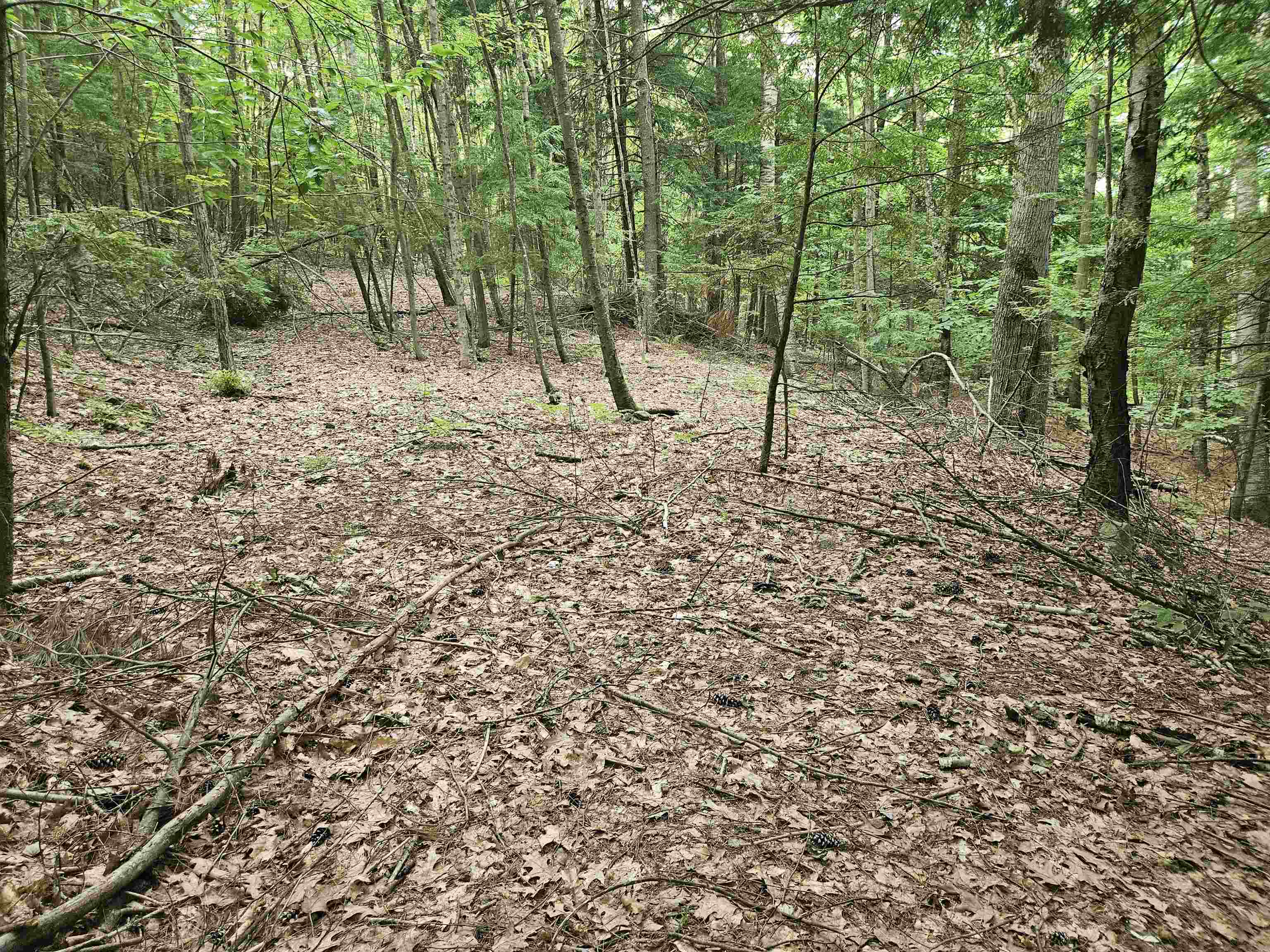 Map 132 Lot 115 Arrowhead Lane Property Photo 2