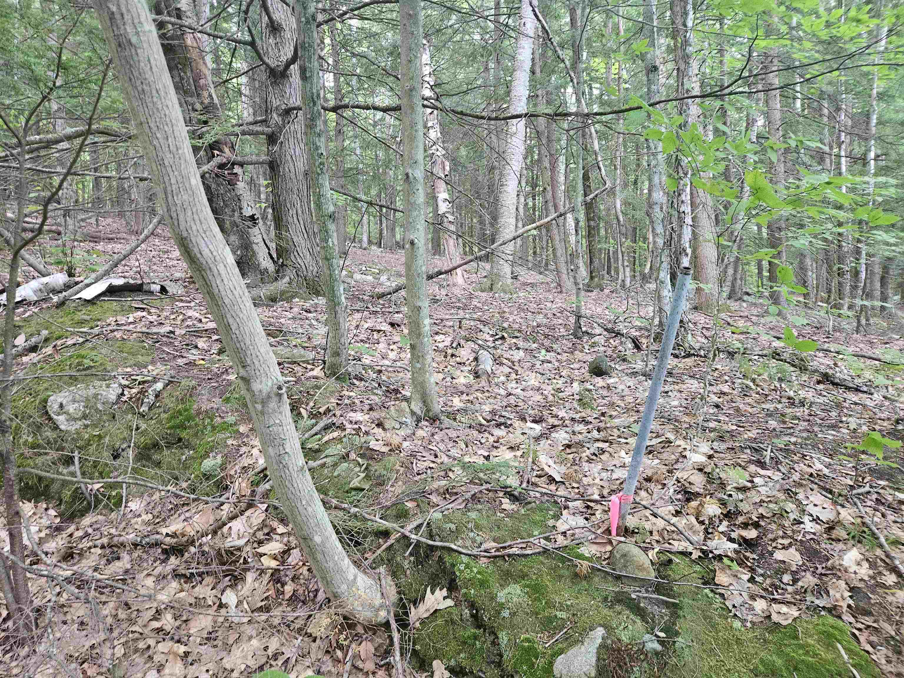 Map 132 Lot 115 Arrowhead Lane Property Photo 3