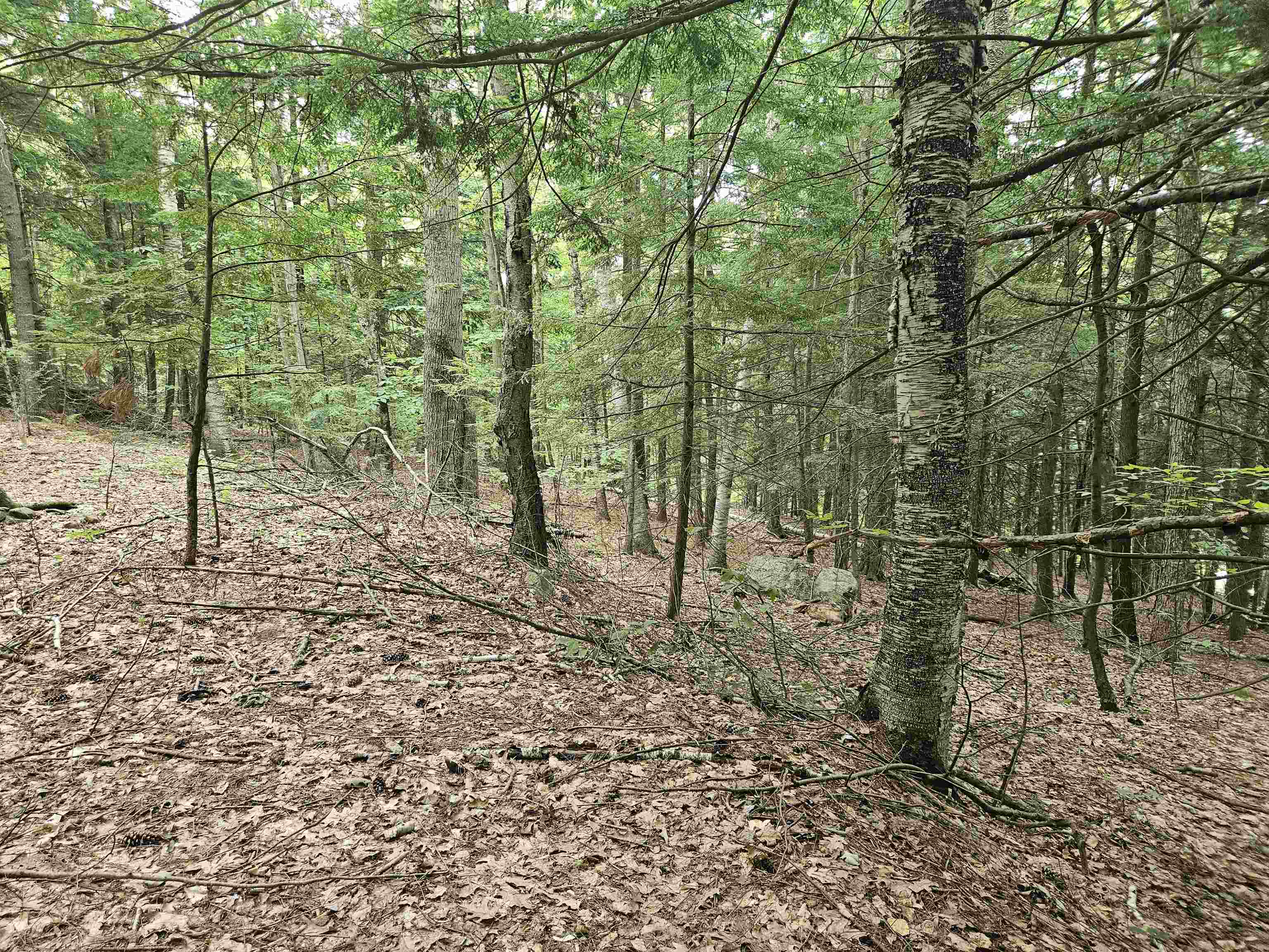 Map 132 Lot 115 Arrowhead Lane Property Photo 4