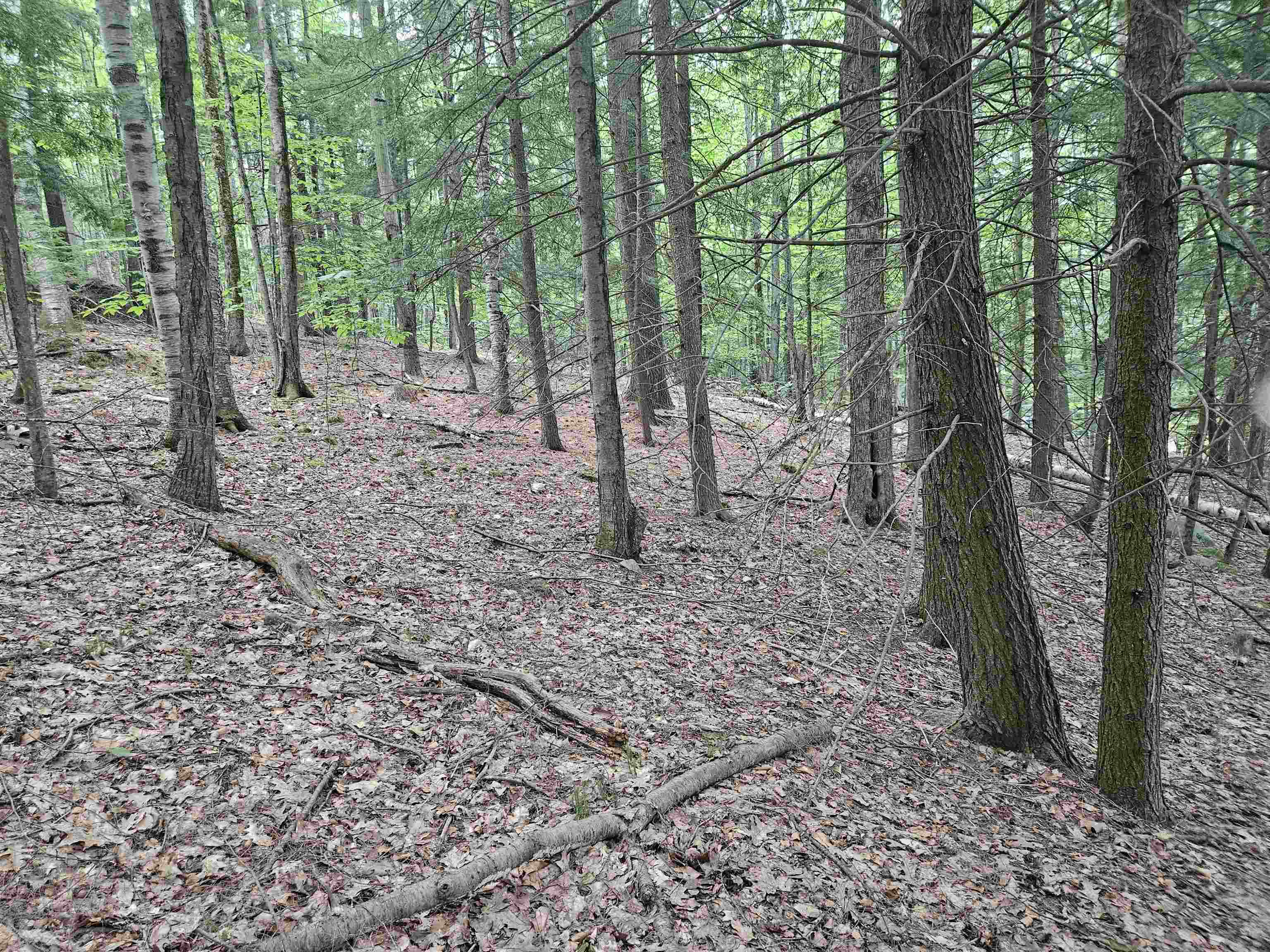Map 132 Lot 115 Arrowhead Lane Property Photo 5