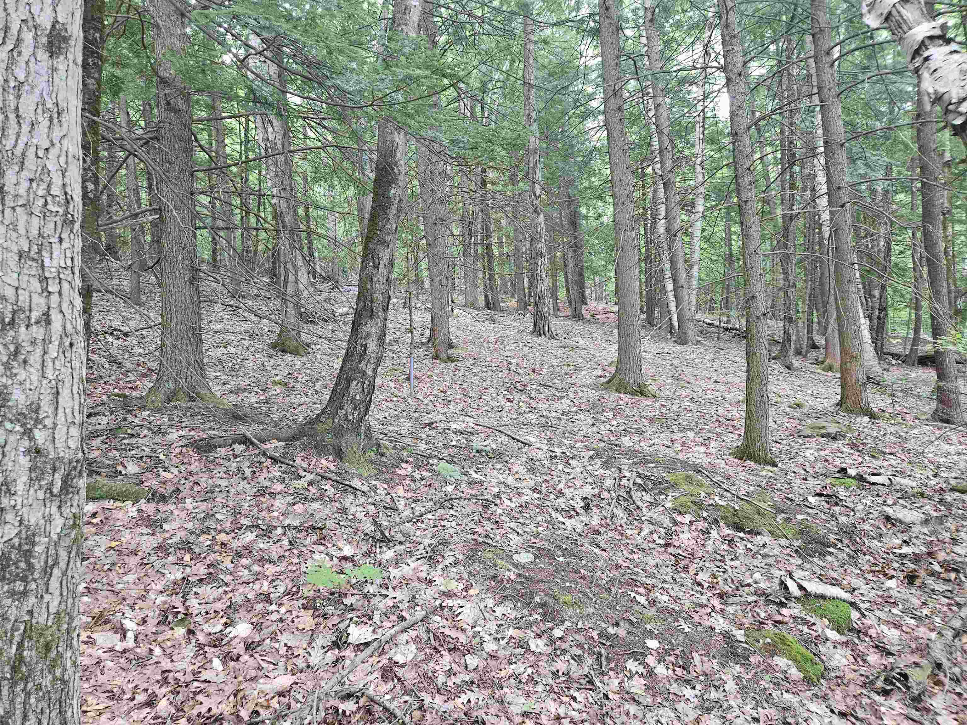 Map 132 Lot 115 Arrowhead Lane Property Photo 6