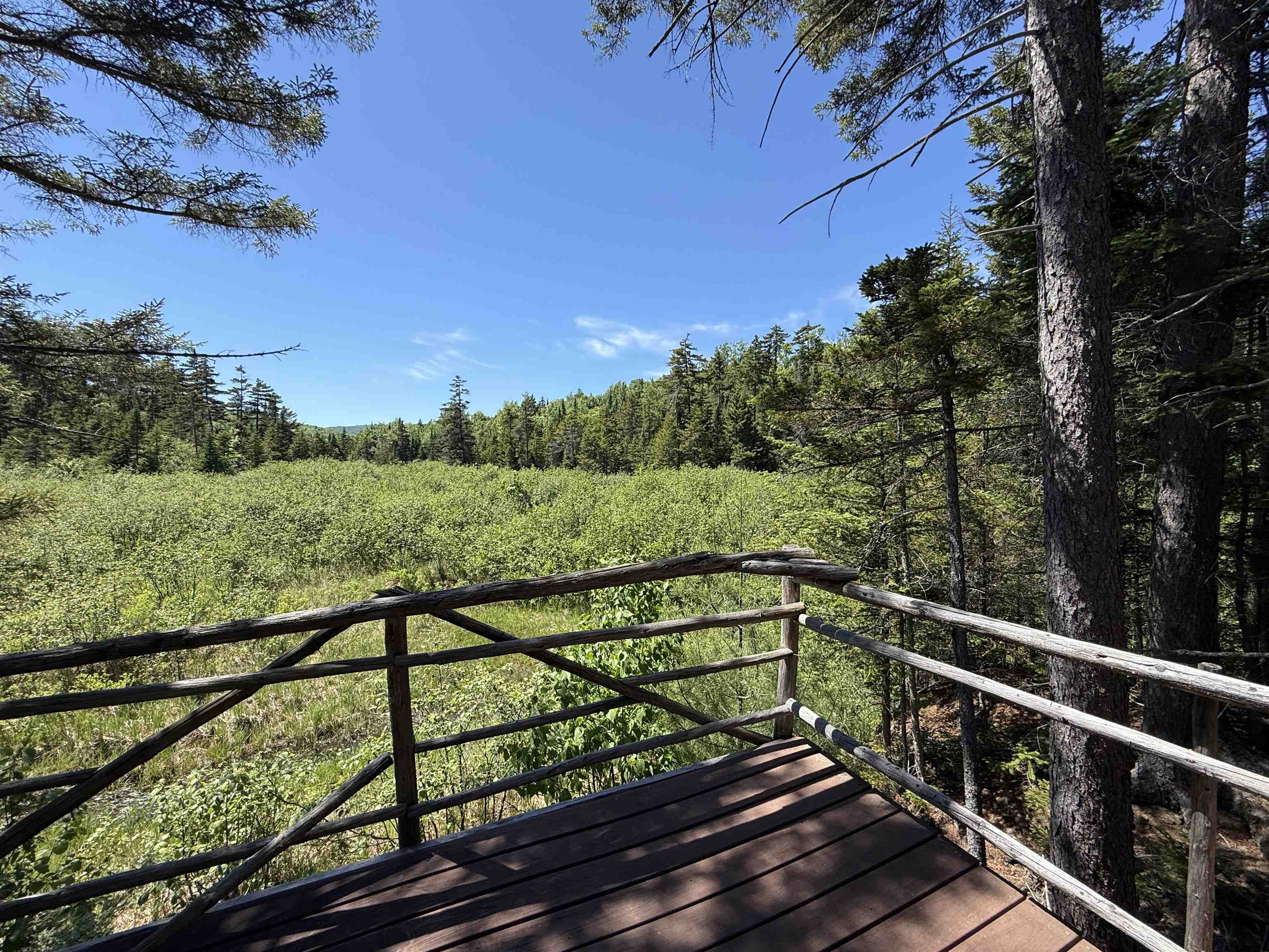 3190 Granby Road Property Photo 32