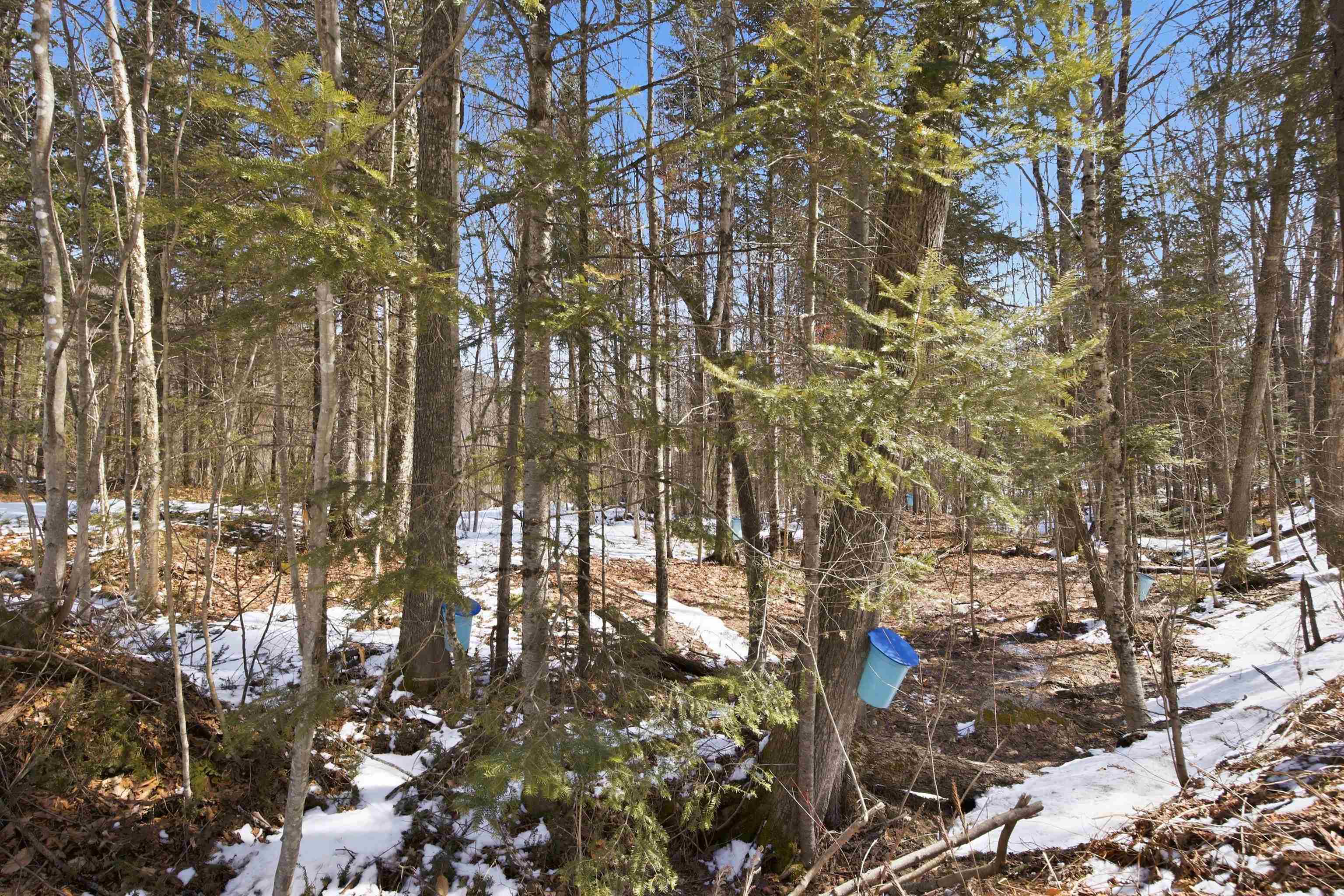 3190 Granby Road Property Photo 37