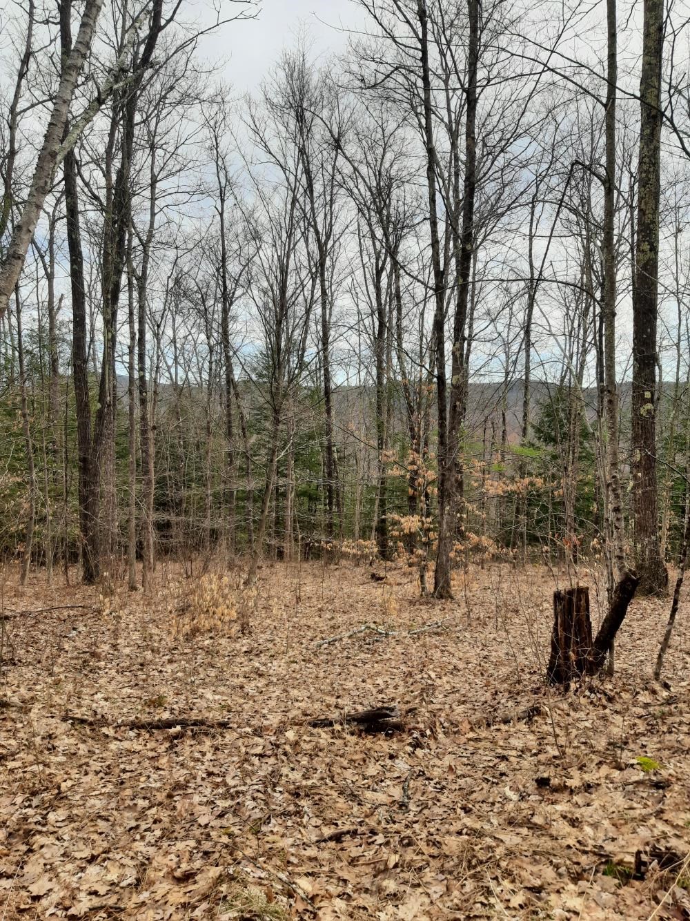 Crotty Drive Property Photo 11