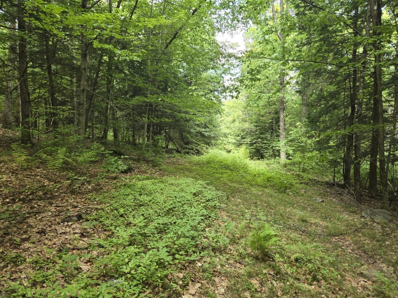 Crotty Drive Property Photo 14