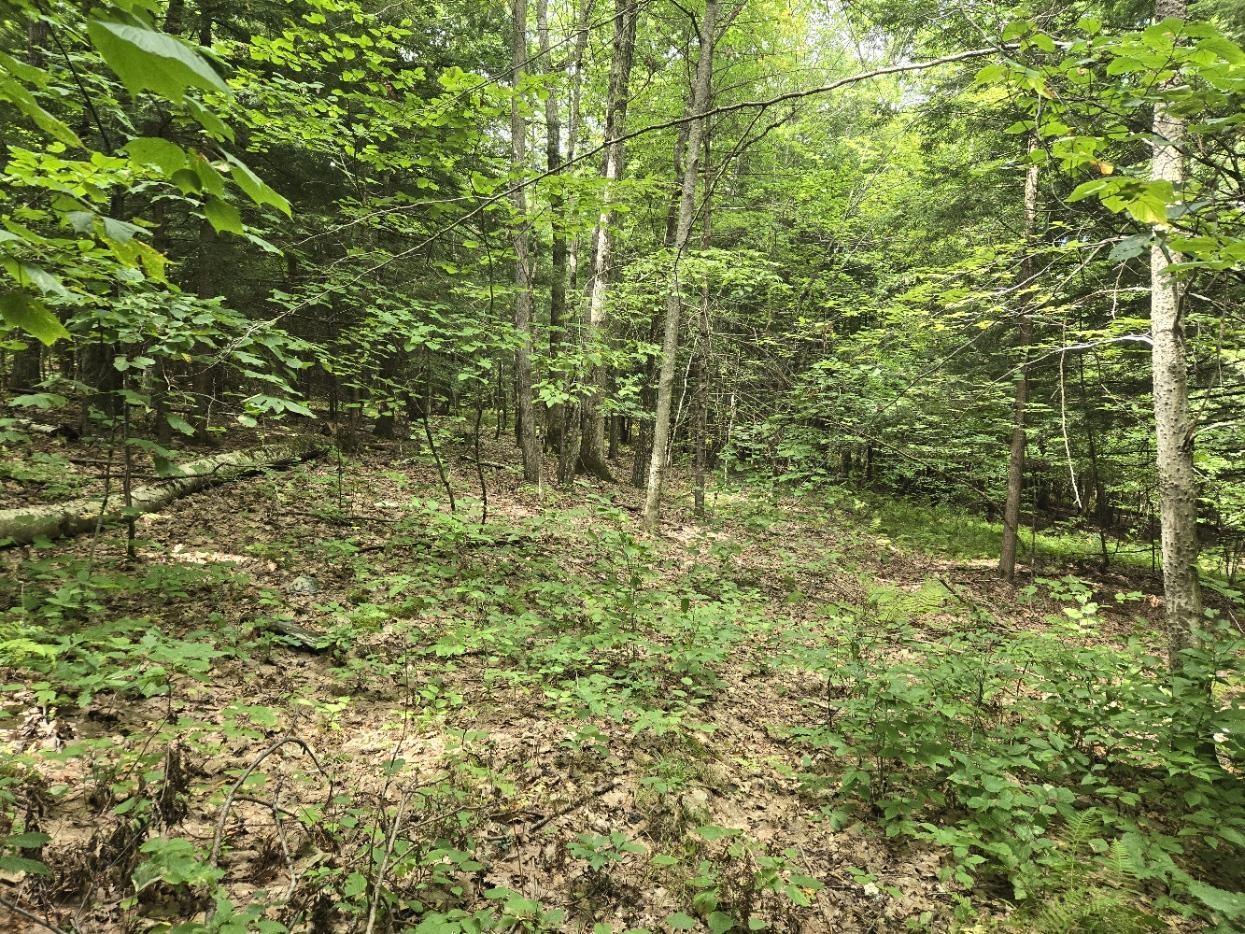 Crotty Drive Property Photo 19