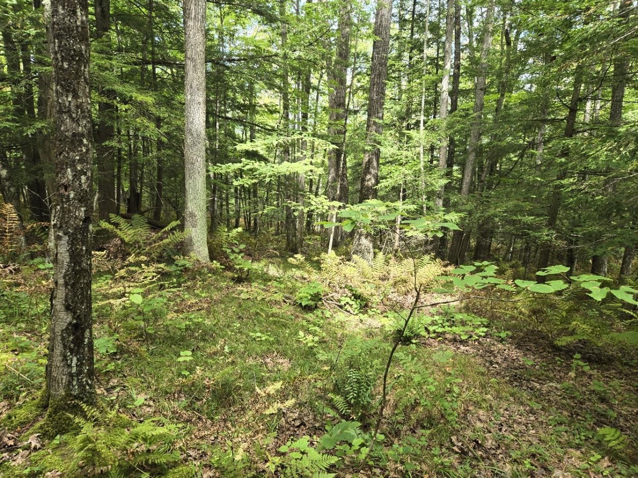 Crotty Drive Property Photo 23