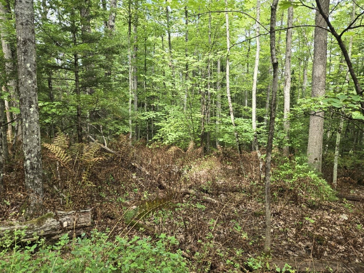 Crotty Drive Property Photo 30