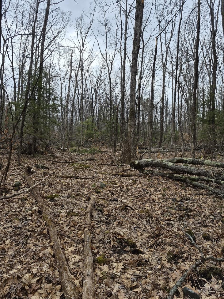 Crotty Drive Property Photo 36