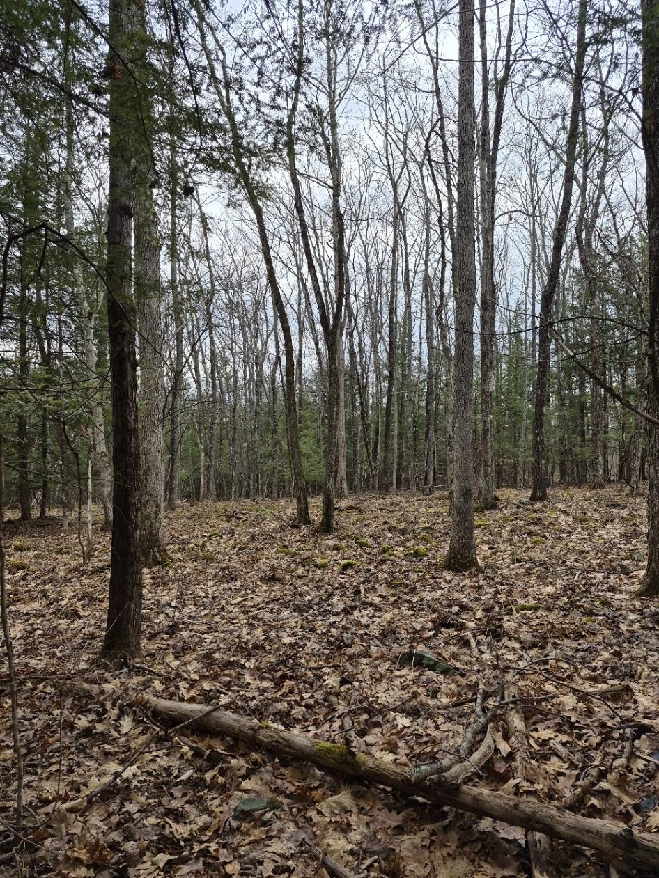 Crotty Drive Property Photo 37