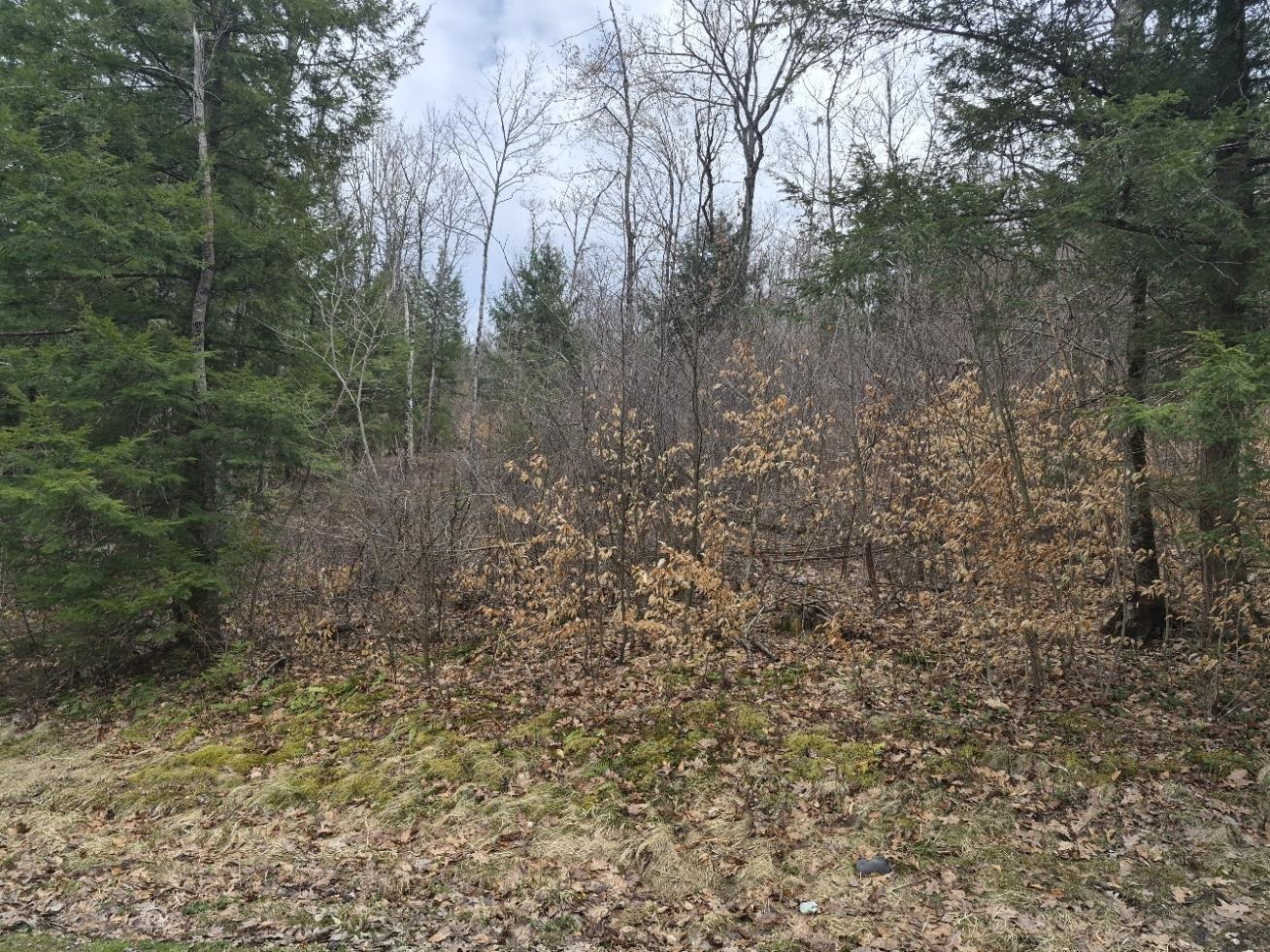 Pond Road Property Photo 1