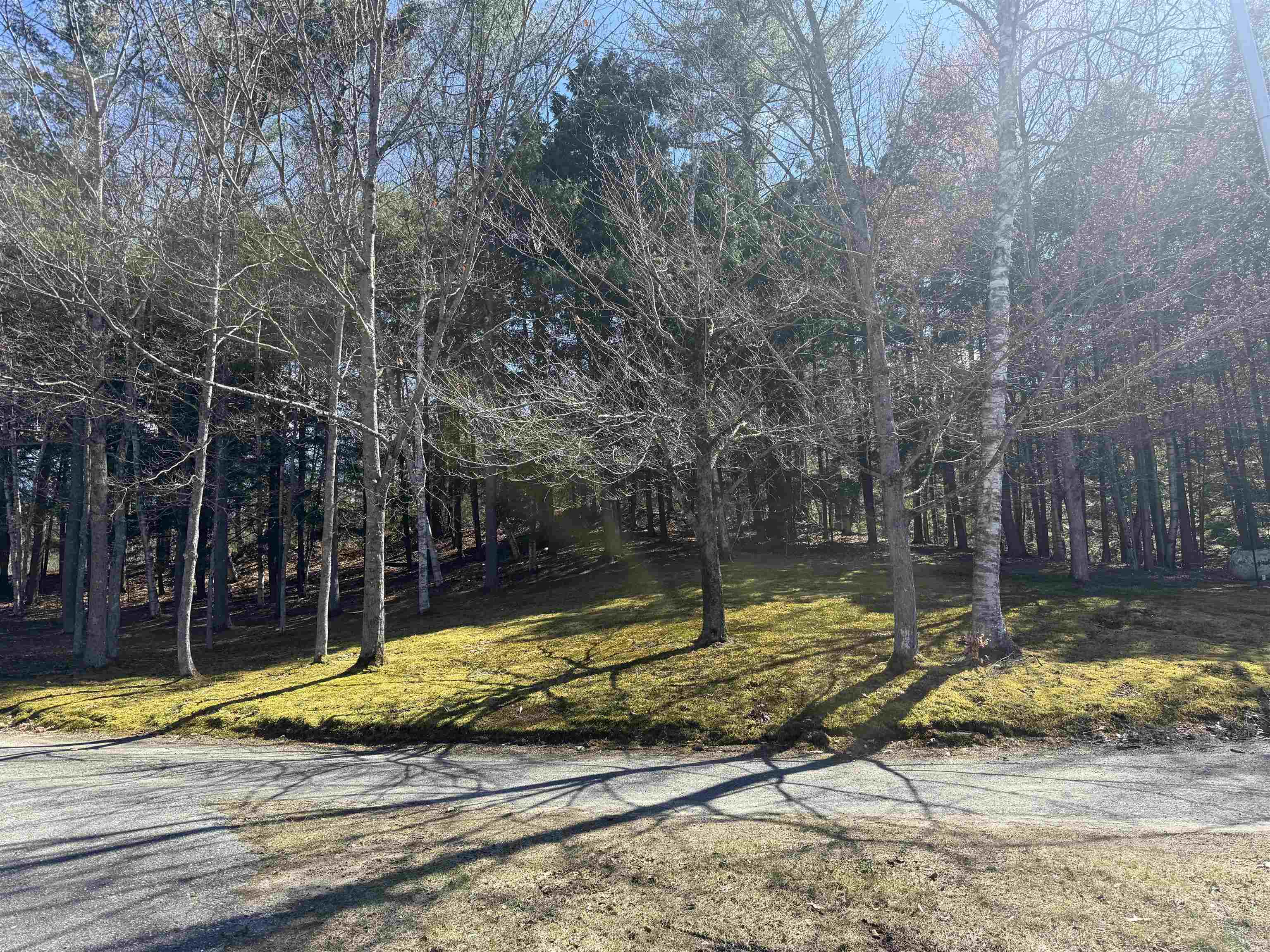 175 Pleasant Valley Road Property Photo 19