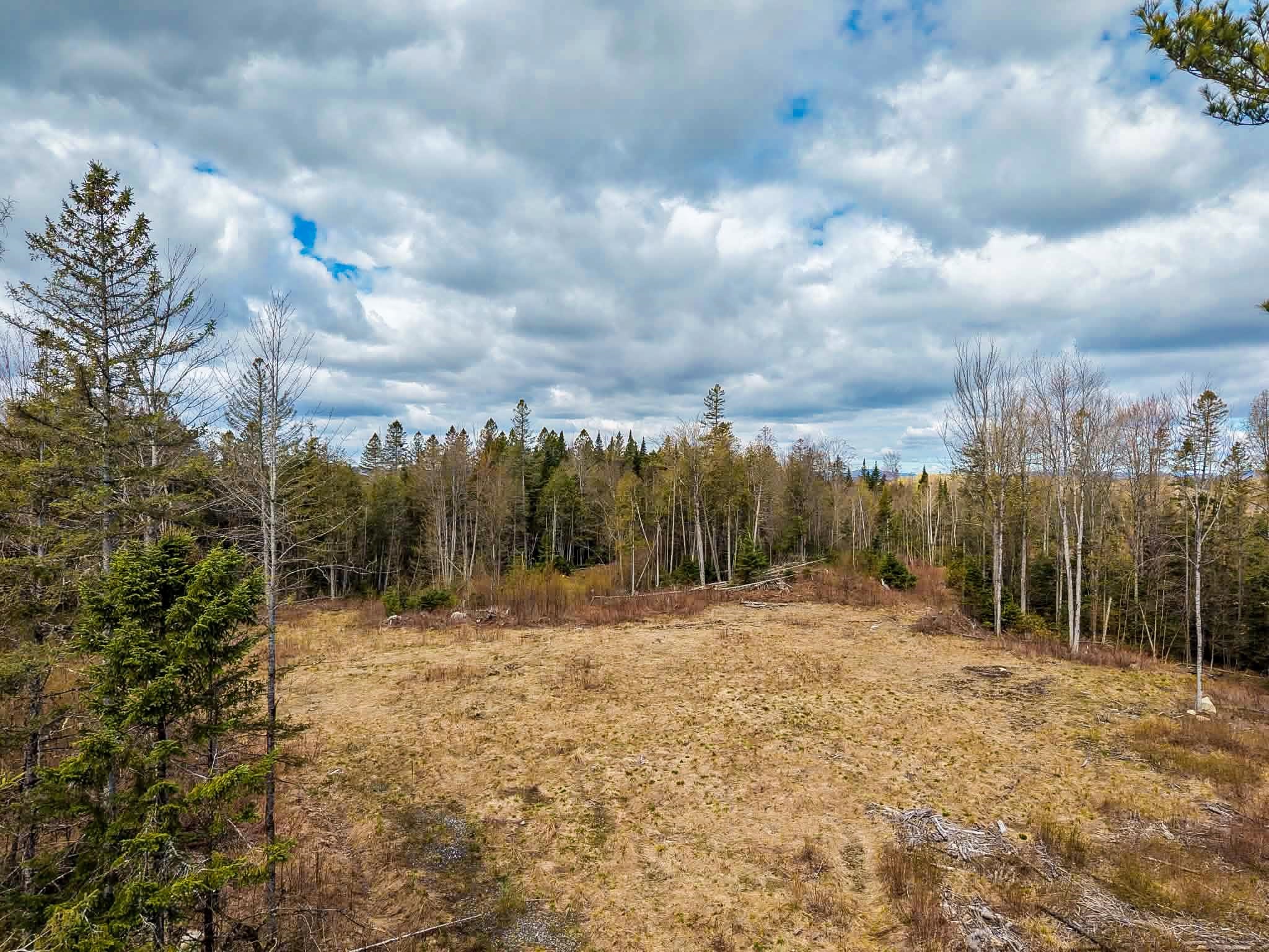 4334 Hinman Settler Road Property Photo 4
