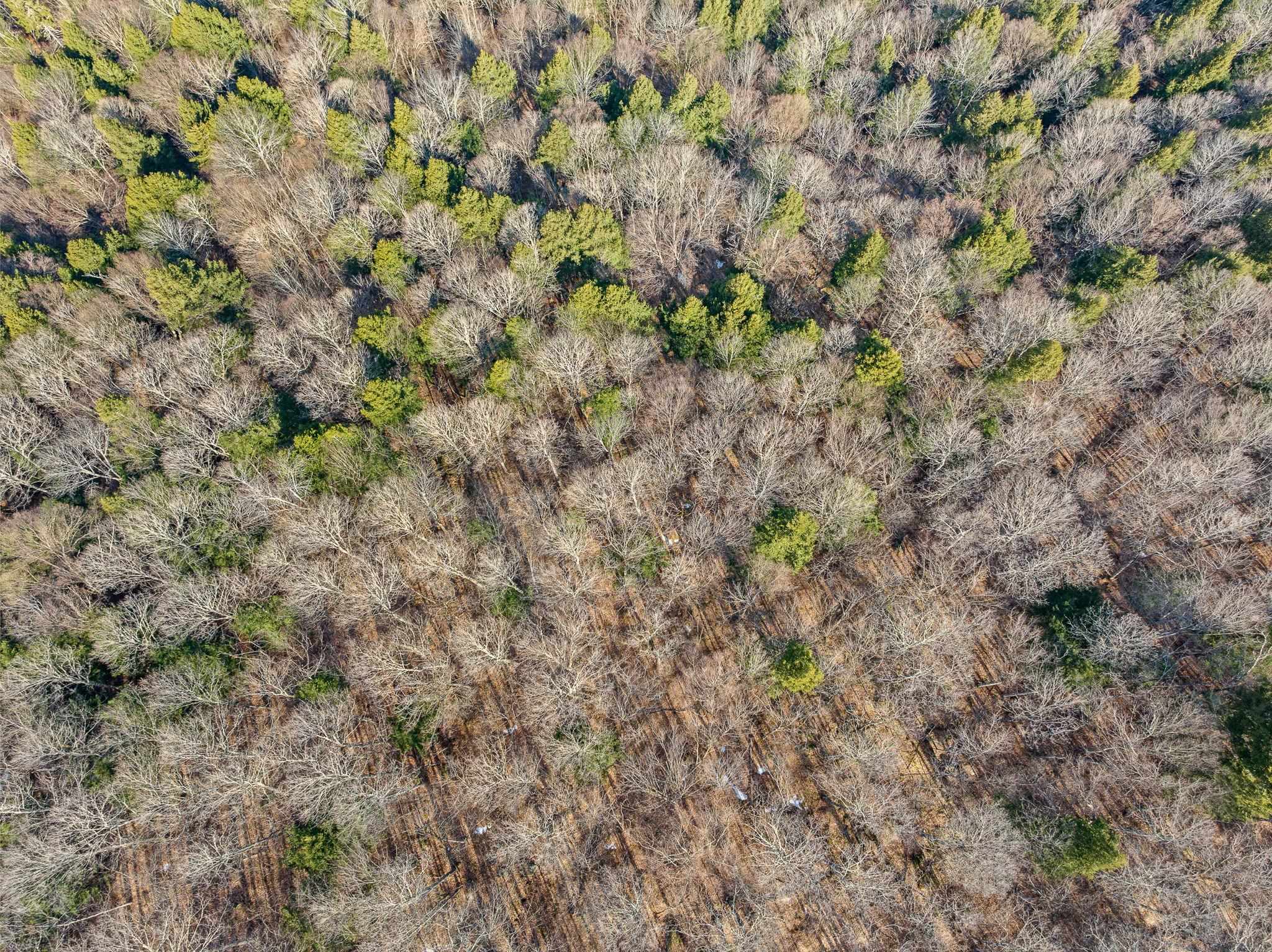 6416 Vt Route 107 Property Photo 10