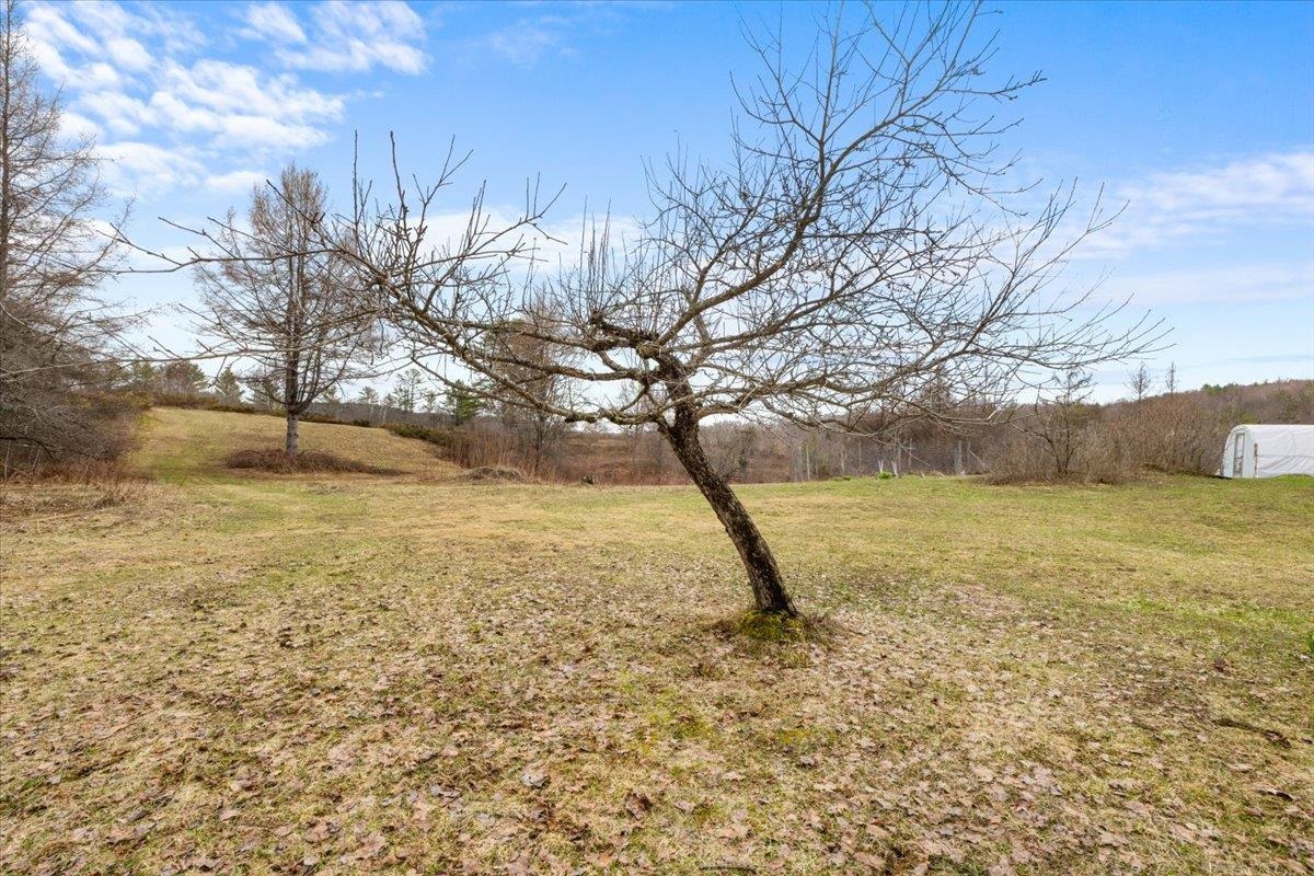142 King Pond Road Property Photo 29