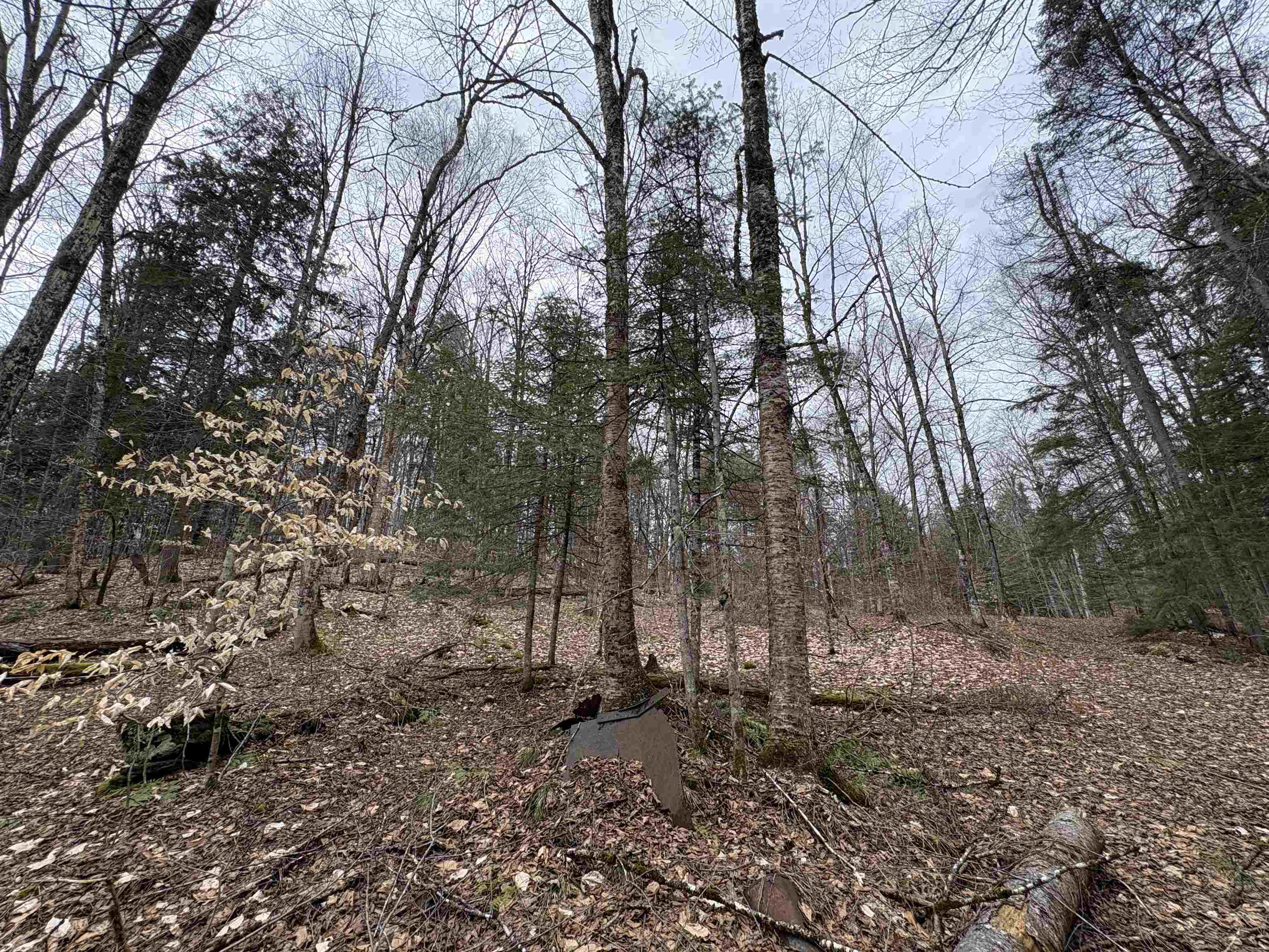 142 King Pond Road Property Photo 60