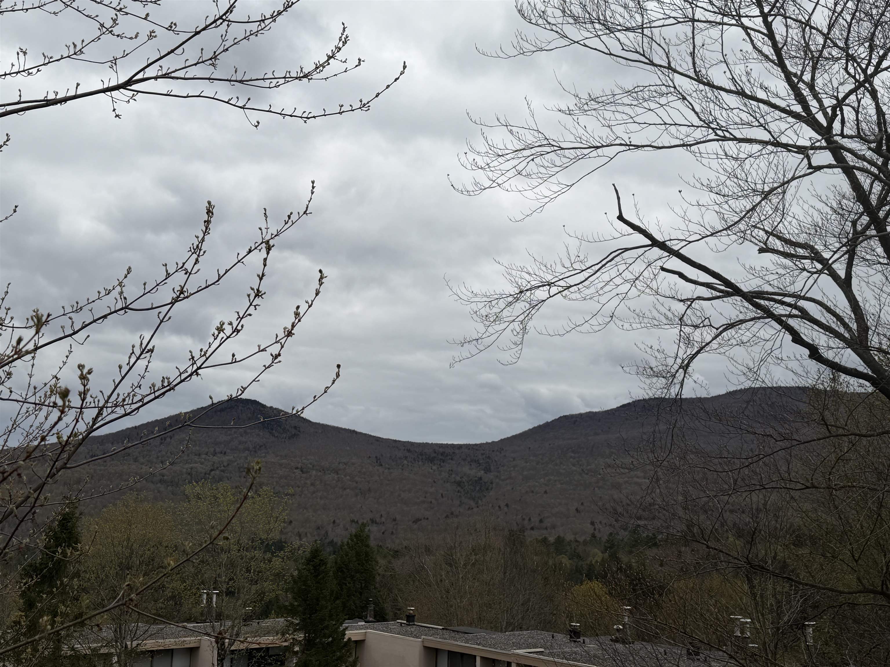 1275 Notchbrook Road Property Photo 29