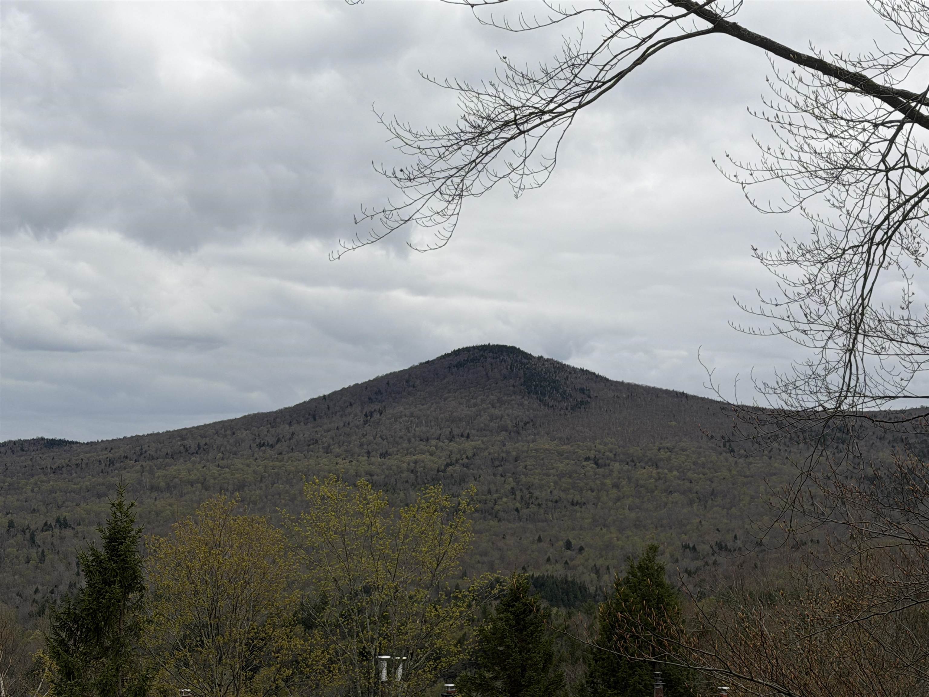1275 Notchbrook Road Property Photo 30