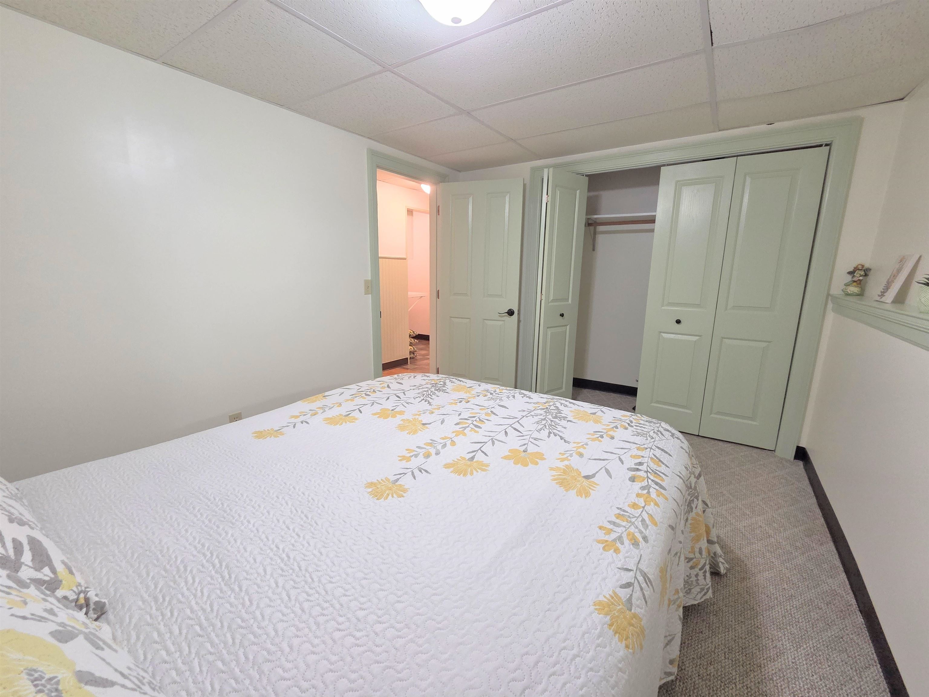 229 Meadowood Lane Property Photo 43