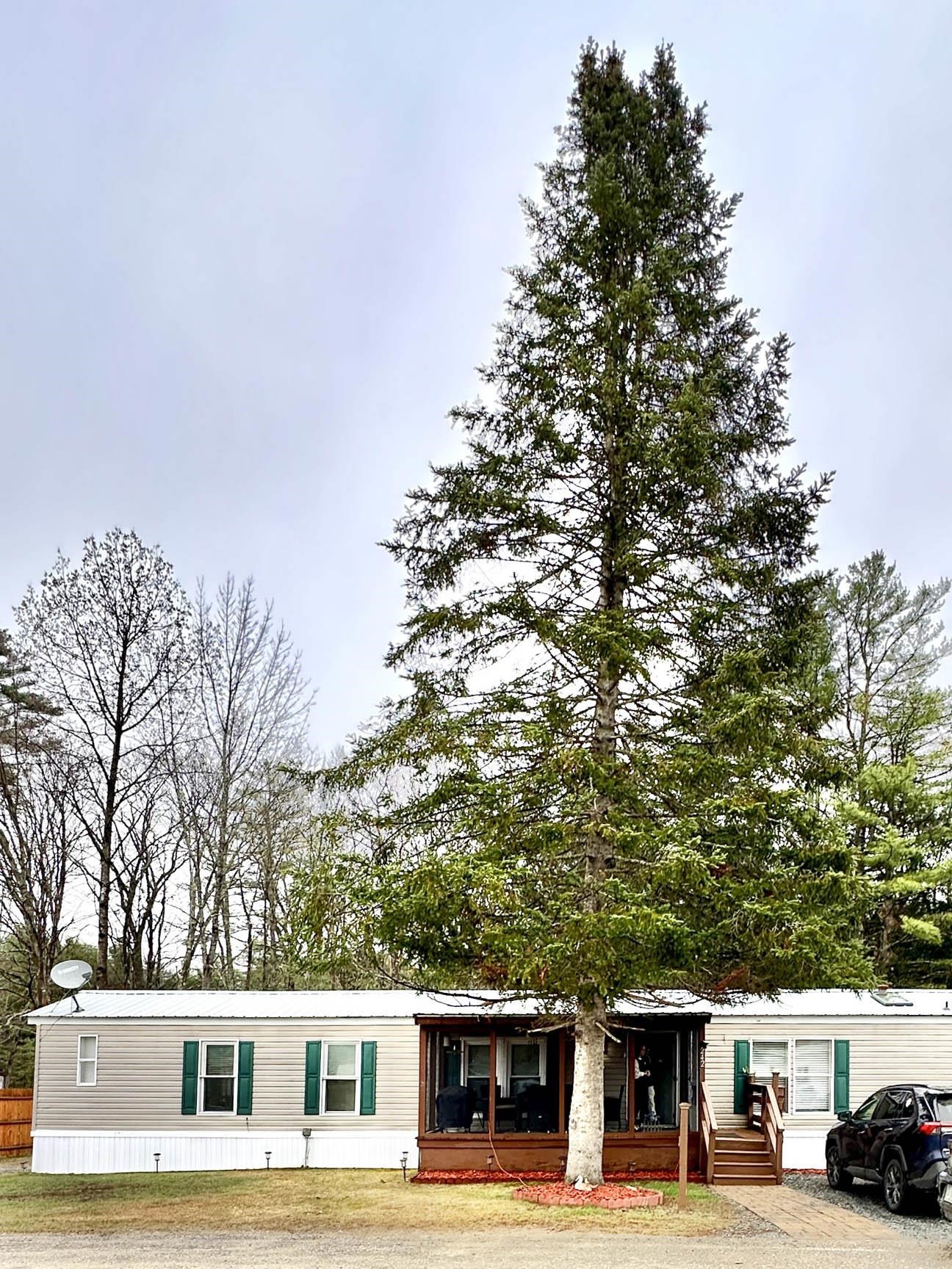 242 Riverside Drive Property Photo 2