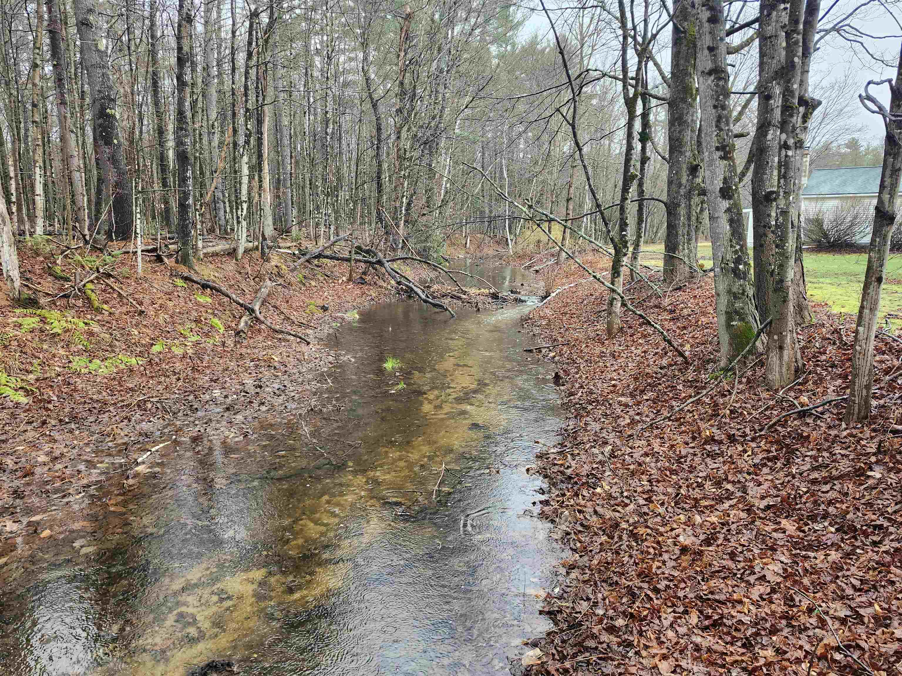 1191 Us Route 302 Property Photo 37