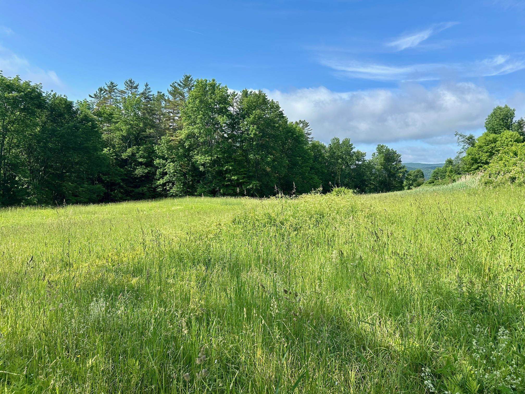 00 Dairy Hill Road Property Photo 3