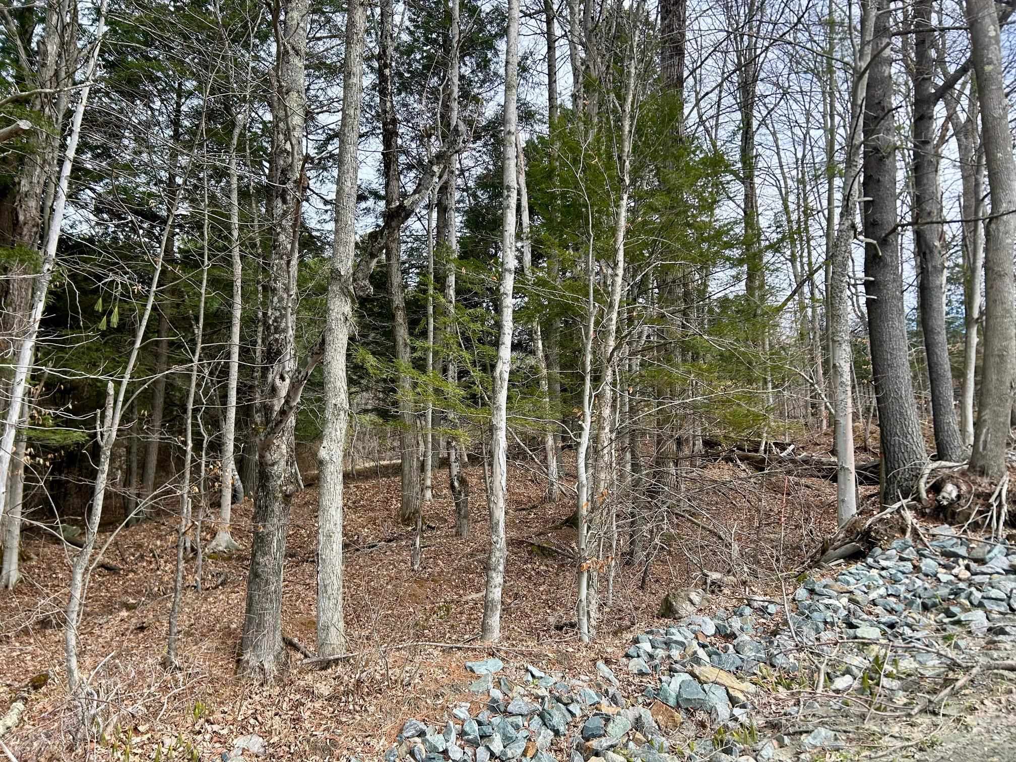 00 Dairy Hill Road Property Photo 11