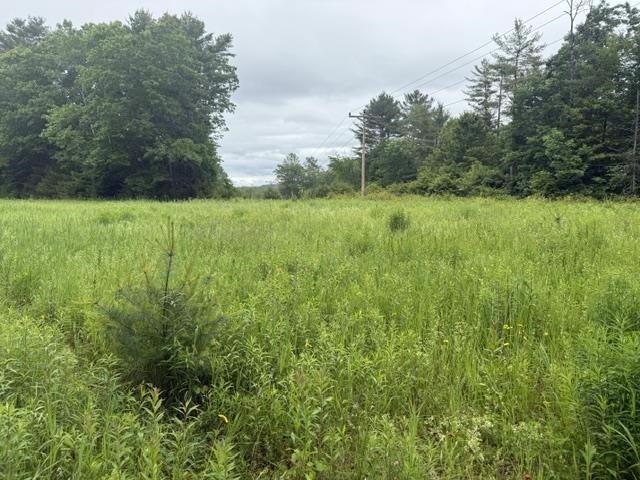 548 Bishop Road Property Photo 11