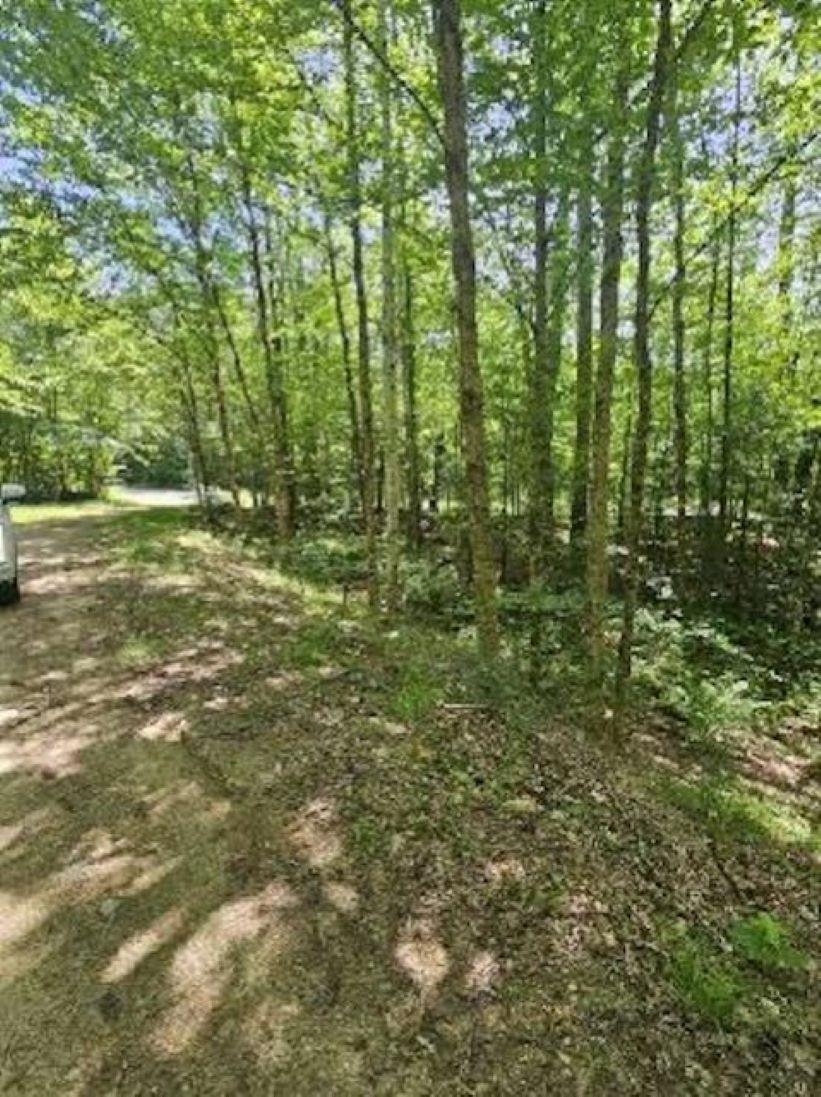 0 Myrtle Street Property Photo 3