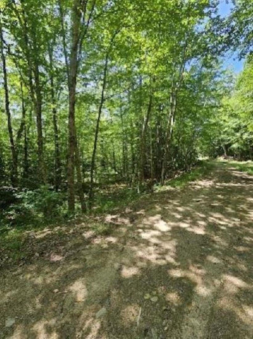 0 Myrtle Street Property Photo 4