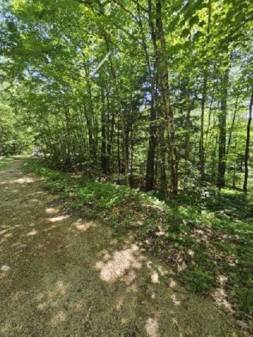 0 Myrtle Street Property Photo 5