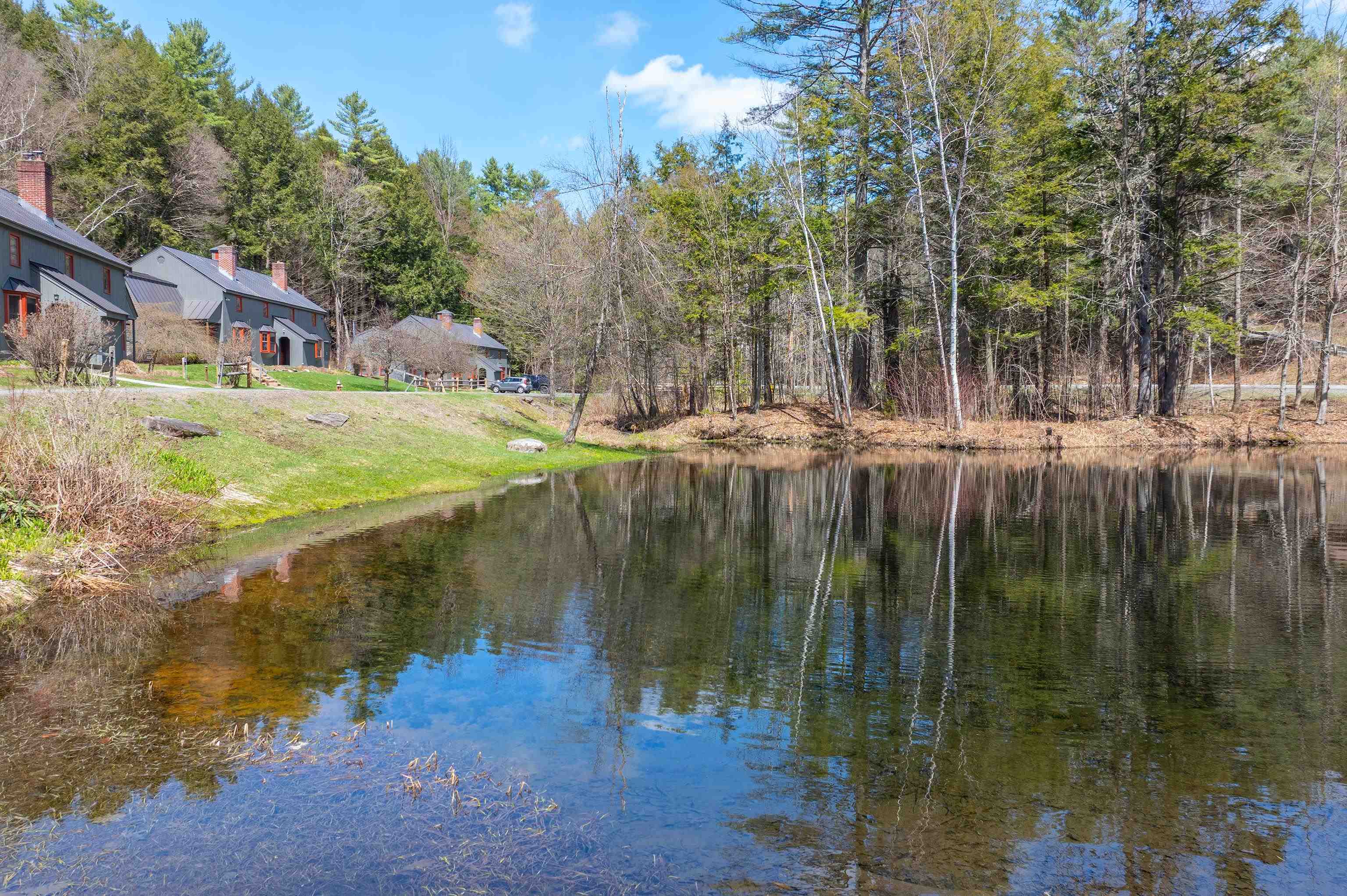 96 Quechee Hollow Lane Property Photo 18